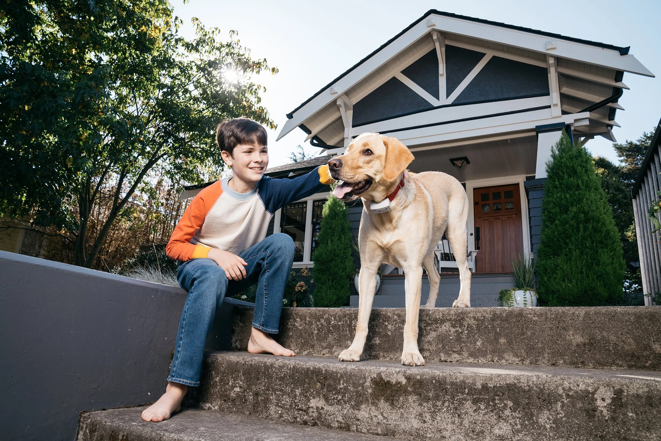 Illustration of Easter Egg Yard Dog Fence Installation