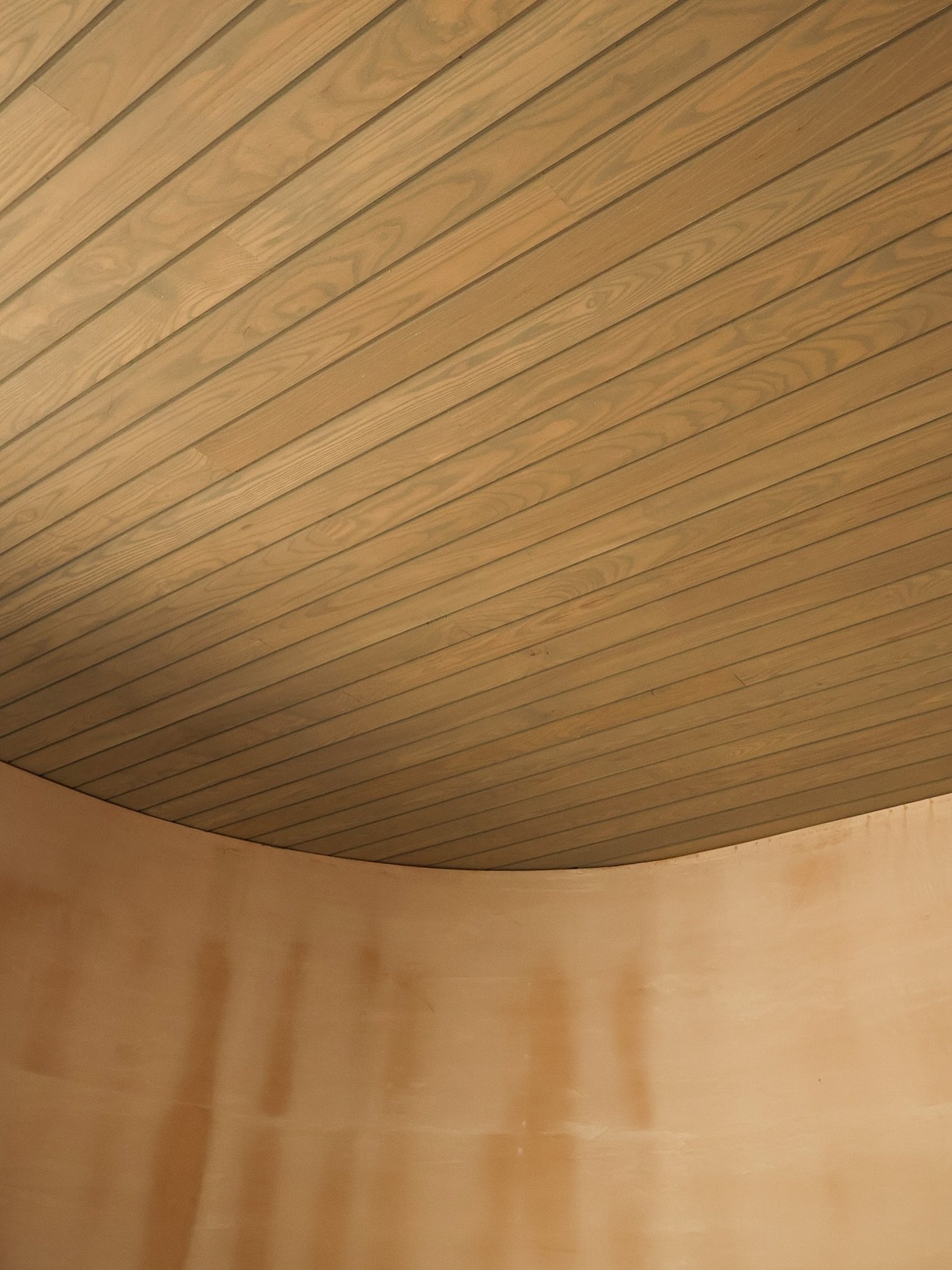 This project features ceilings supported by a curved steel structure, allowing the installation of ash cladding that creates a smooth, continuous curved finish. Prior to installation, the ash was treated on-site with a grey wash and finished with an 