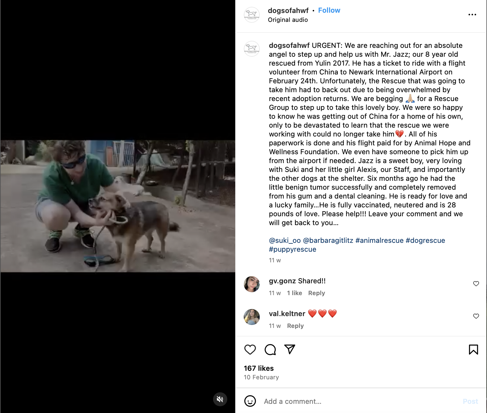 Animal Hope and Wellness Scams  China .png