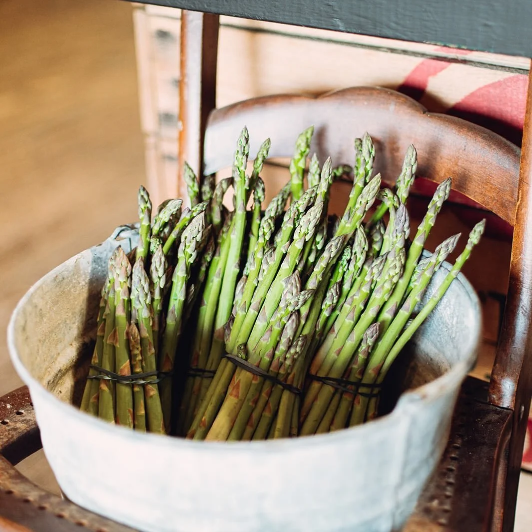 Fresh picked asparagus is available in the barn for $3/lb! Grown and picked right on the farm! 🌱 Where are our asparagus lovers??
