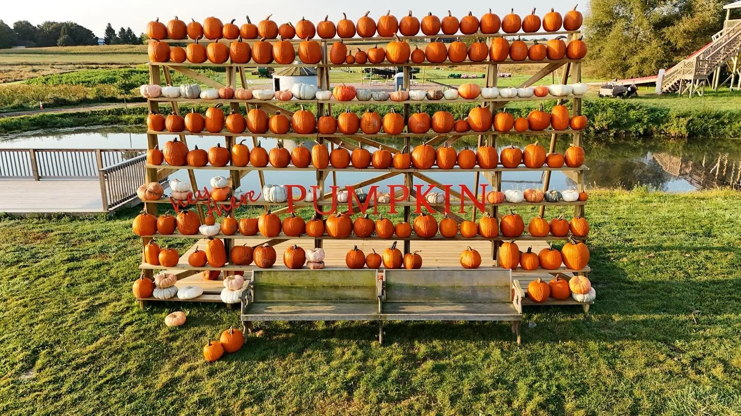 Pumpkins and photo ops a plenty! 😍🎃📸 Open until 9pm - live music on the patio 6-9pm 

Paid admission goes until 6pm! You&rsquo;ll need a ticket if you arrive beforehand 🎟️ 

Dogs welcome all weekend!