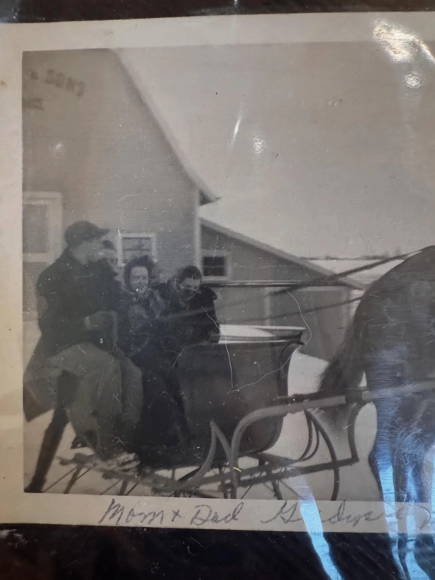 Did you visit Santa on the farm recently? Then you probably took a photo in this sleigh! 🛷 The first photo is Eddie and Helen in the very same sleigh (also known as a cutter) It is so fun to go down memory lane 💕

Did you take a photo in our sleigh