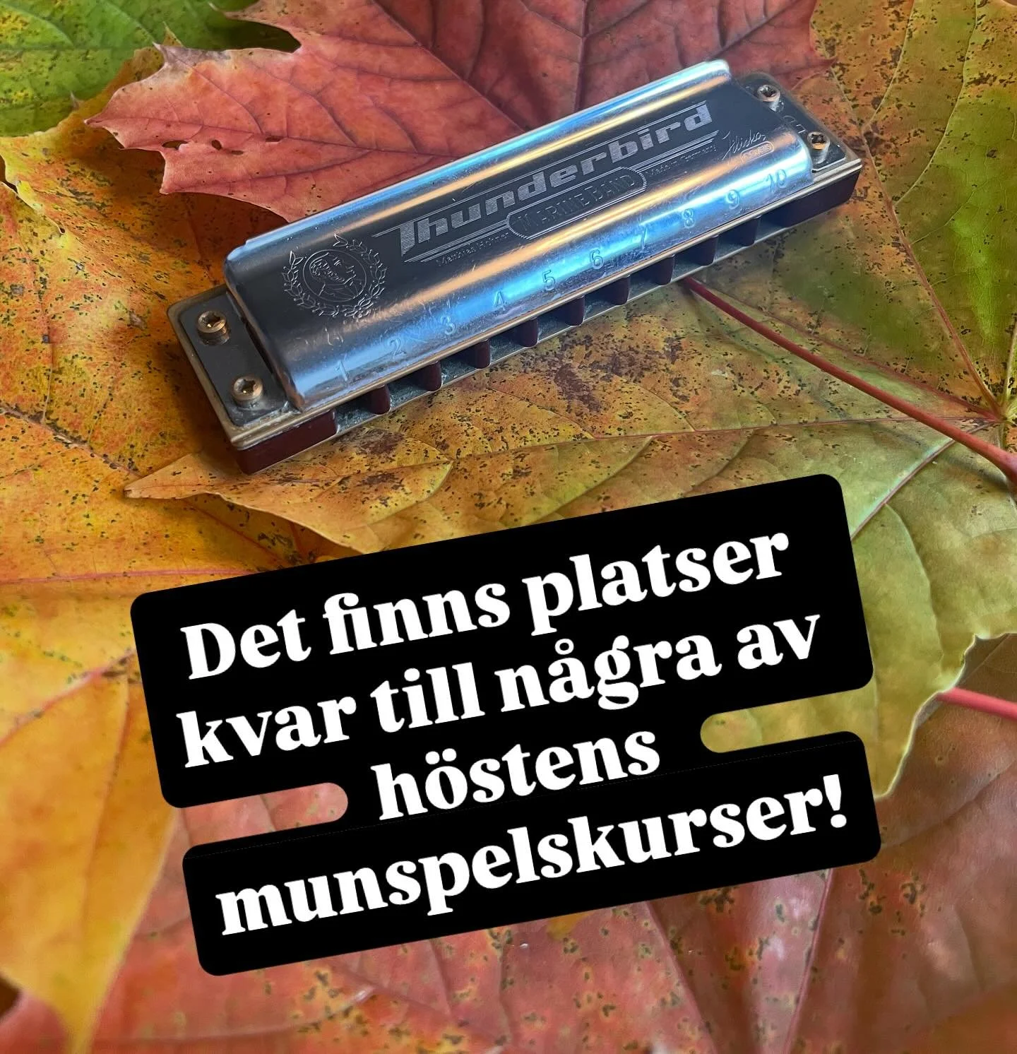Plats: Enskede (Sandsborg), Stockholm. L&auml;s mer p&aring; folkmunspel.se/kursinfo