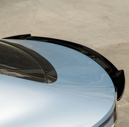 Ducktail Wing for Seal