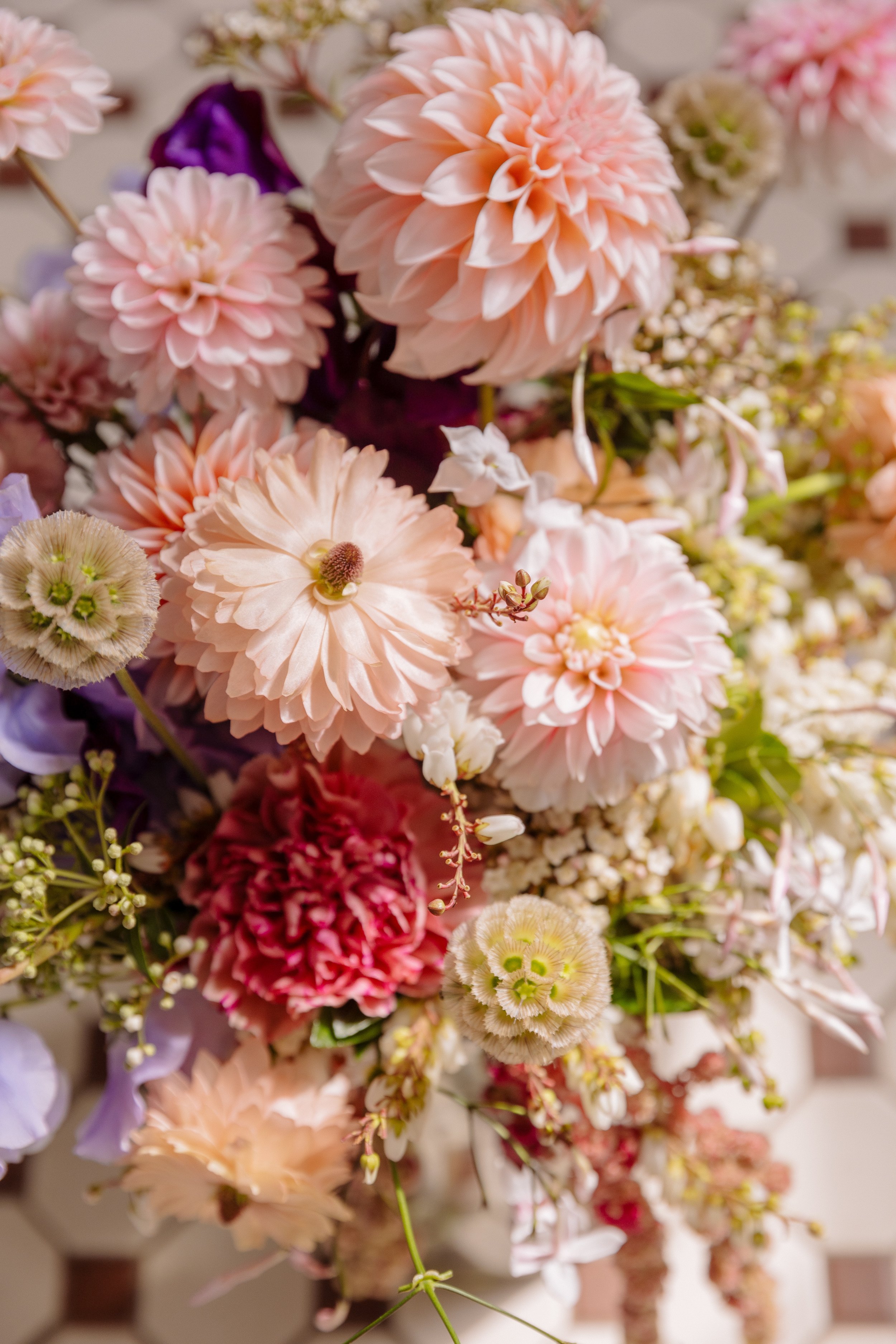 dianagalayphoto-115.jpg