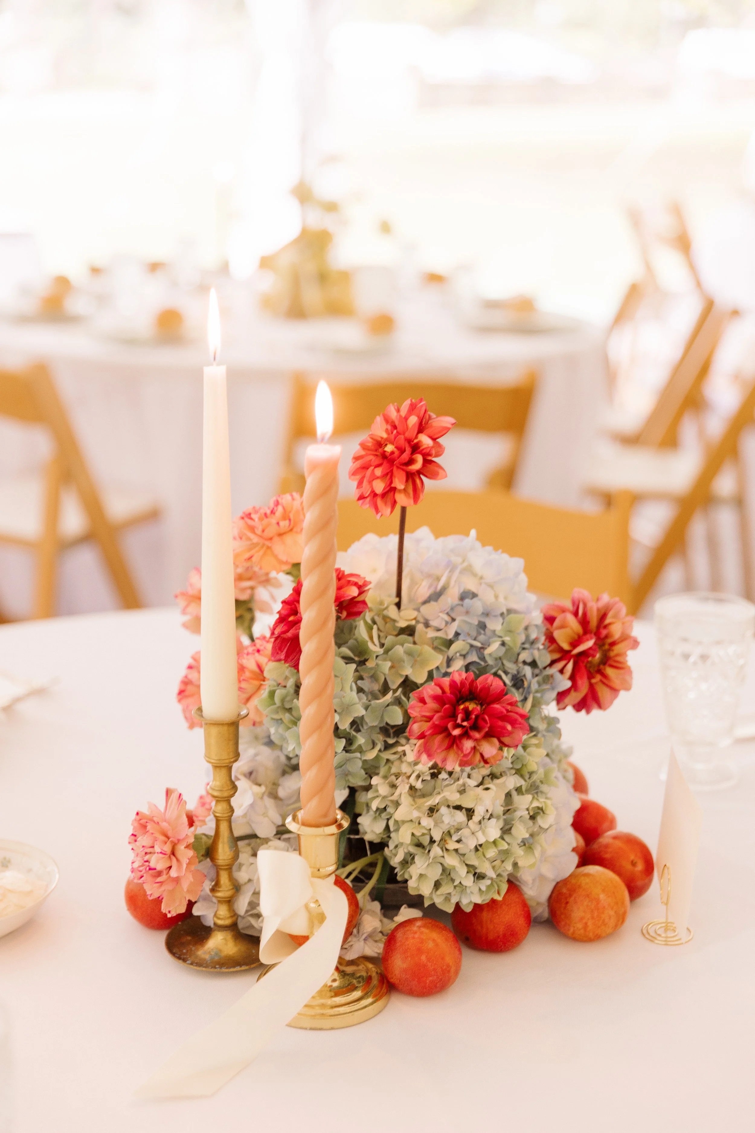 dianagalayphoto-769.jpg