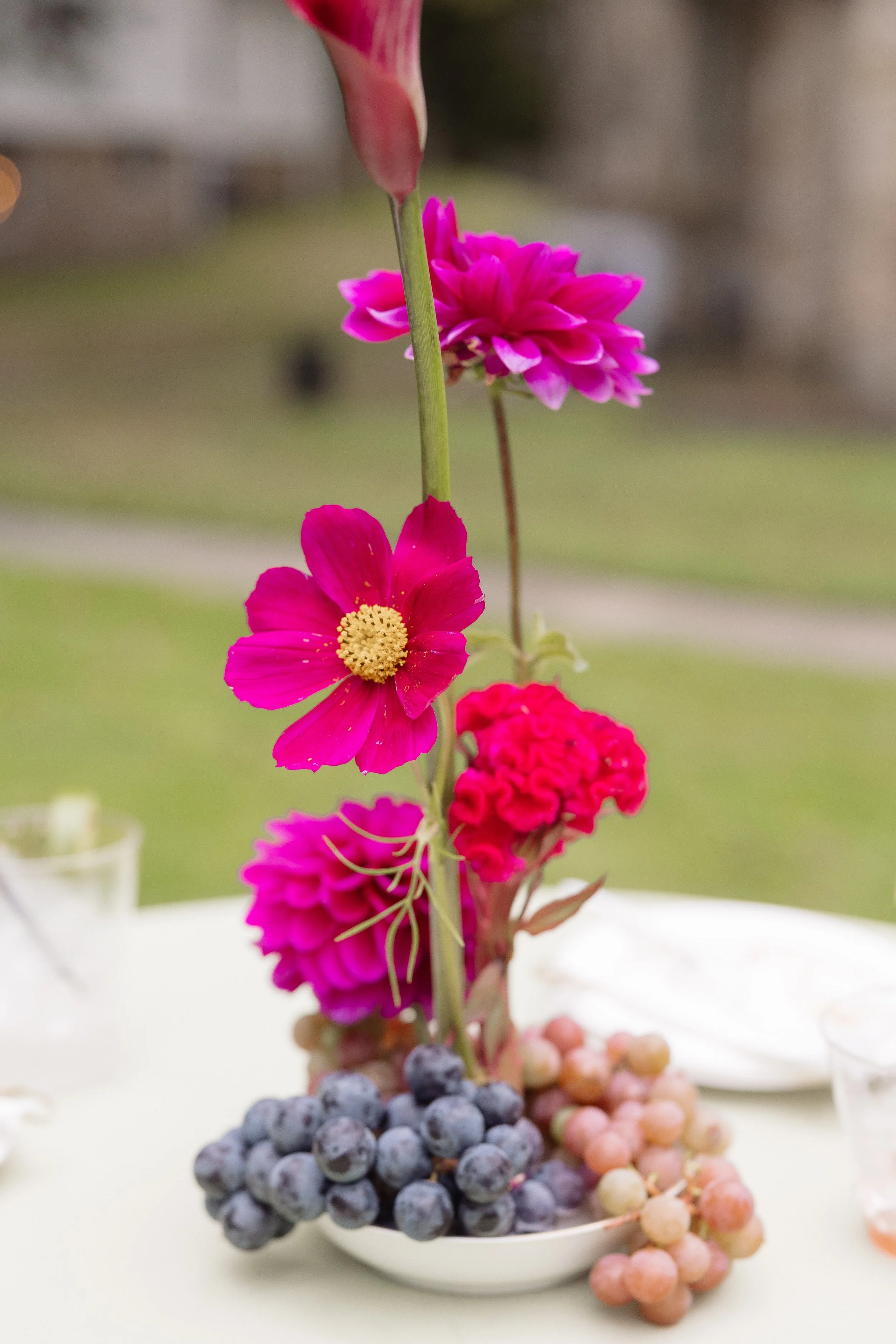 dianagalayphoto-640.jpg