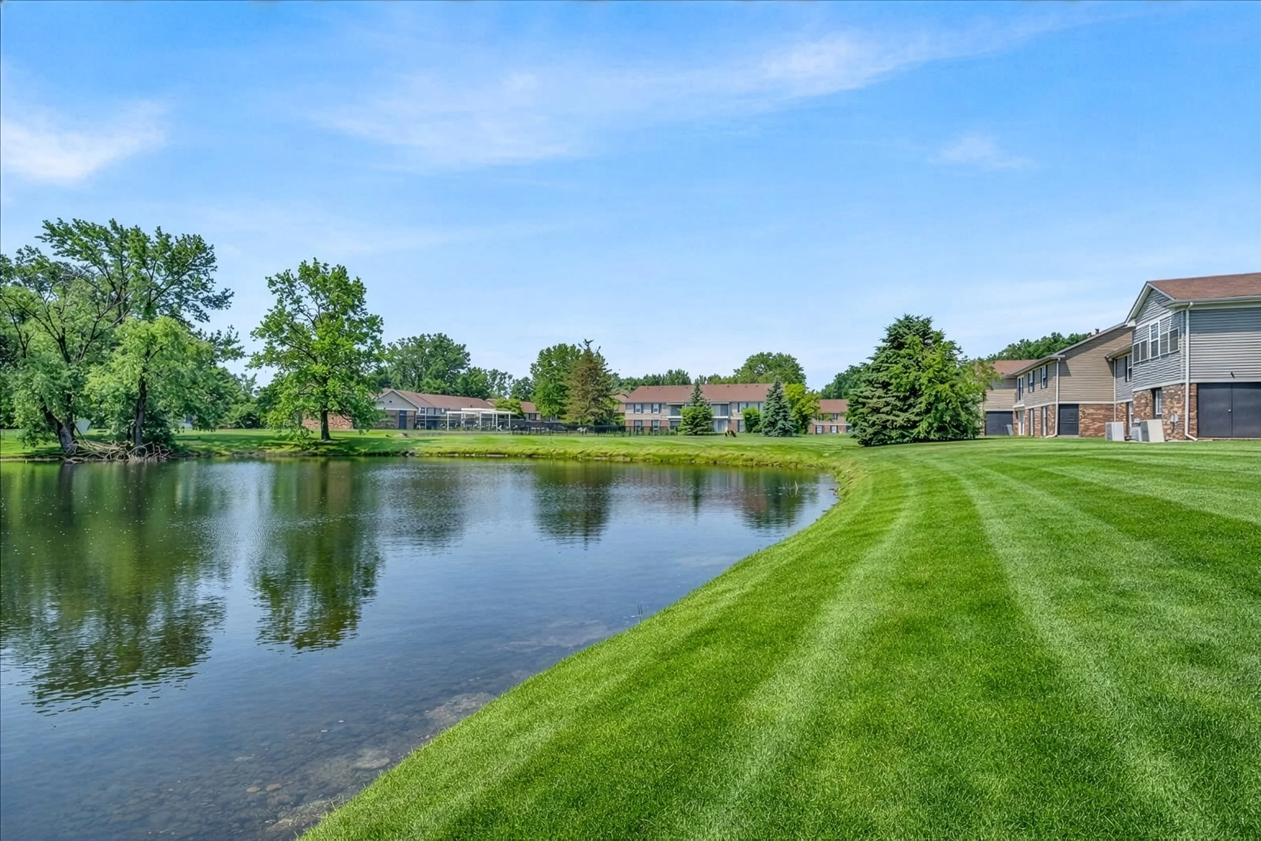 18-DSC08586_Grass Correct.jpg