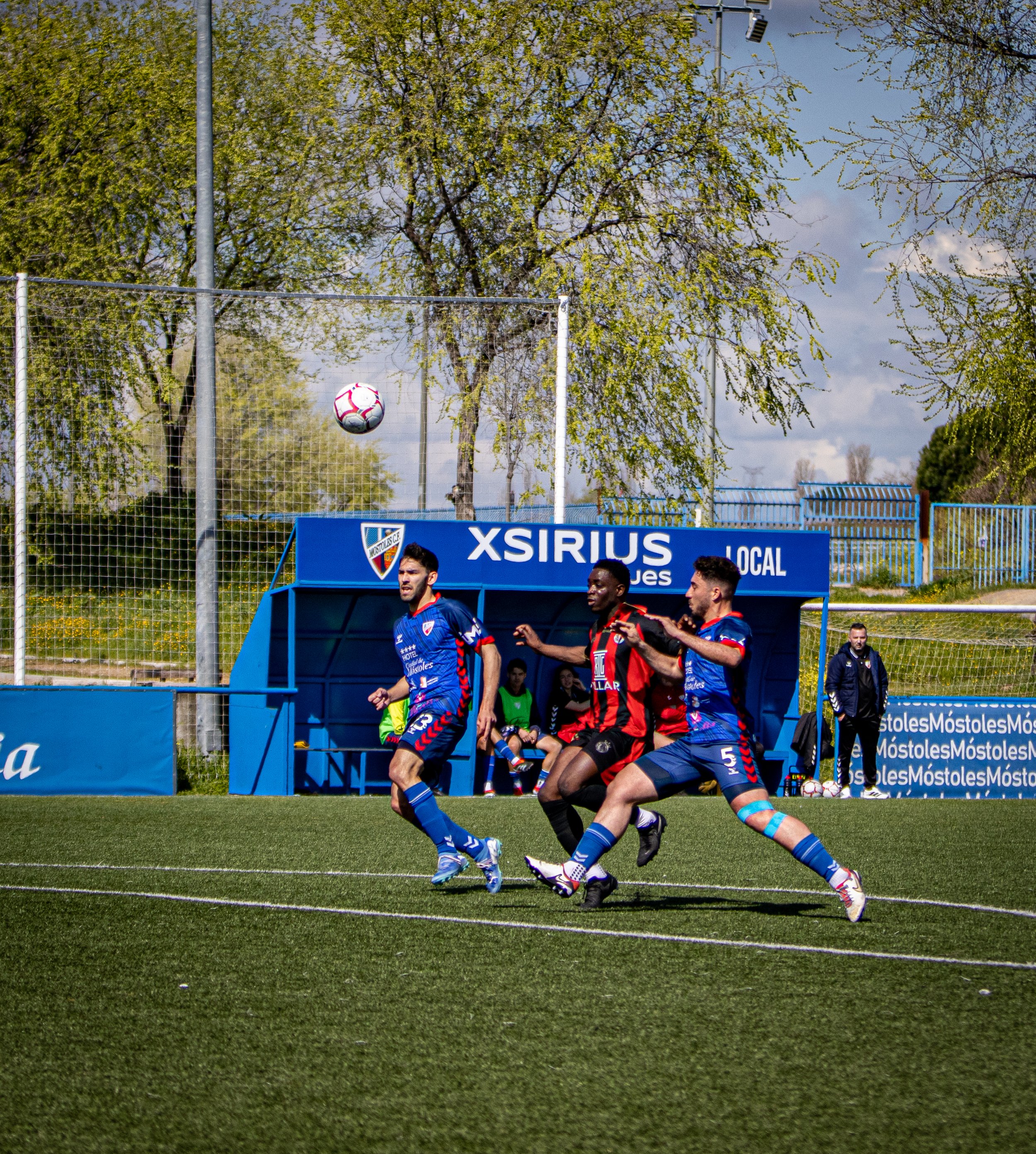 IMG_4682.jpg