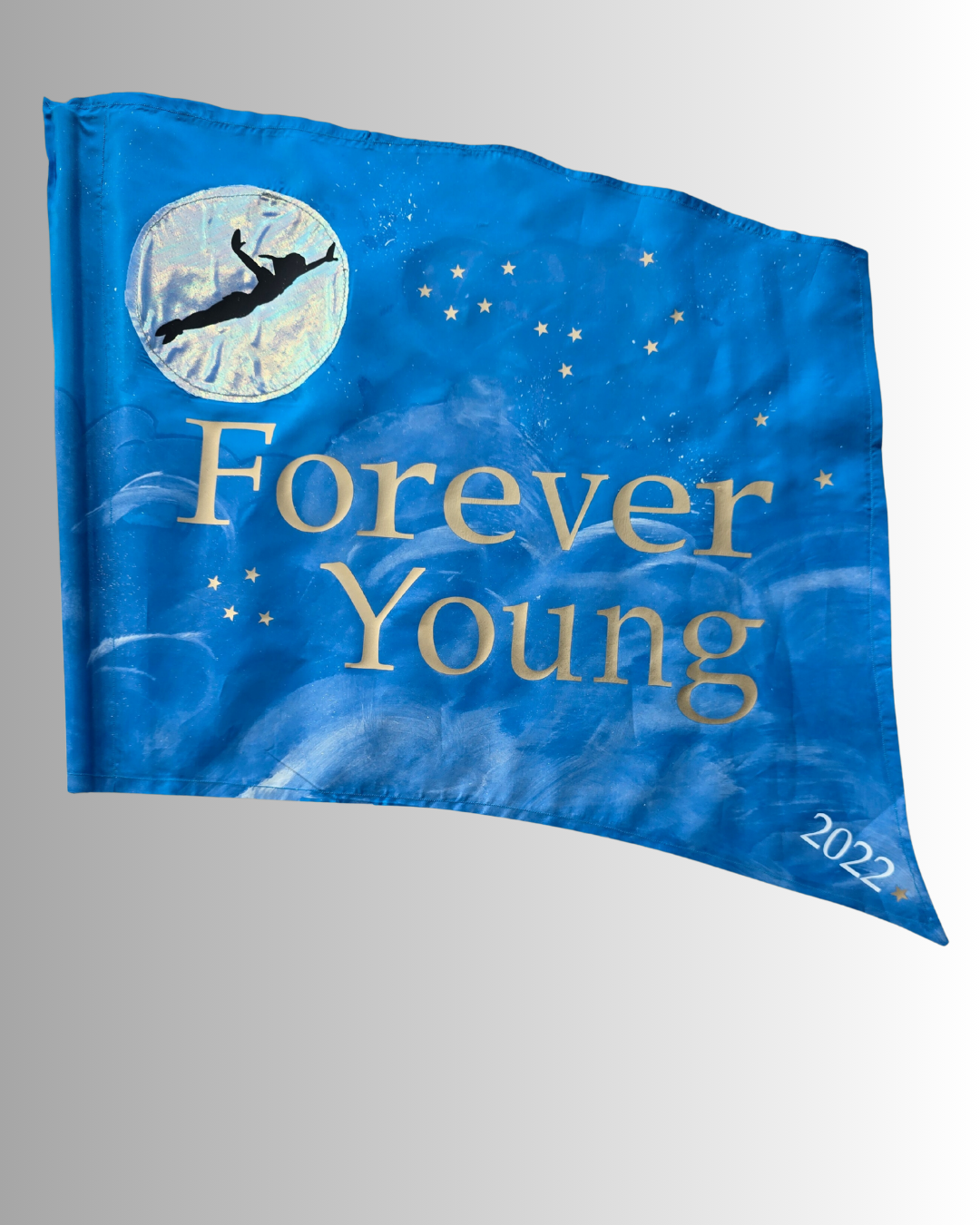 Clearance flags.png