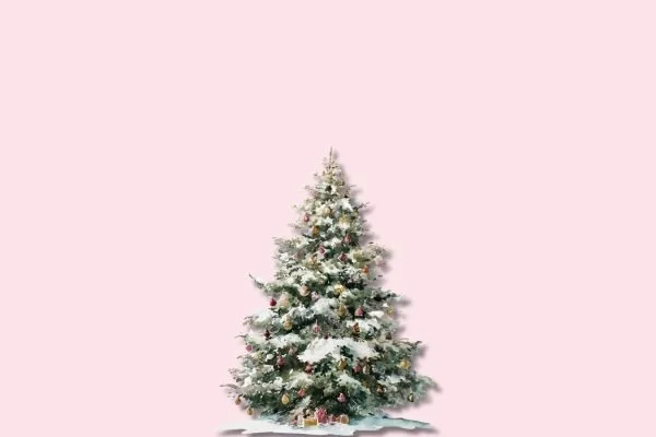 Symptomer i juletiden