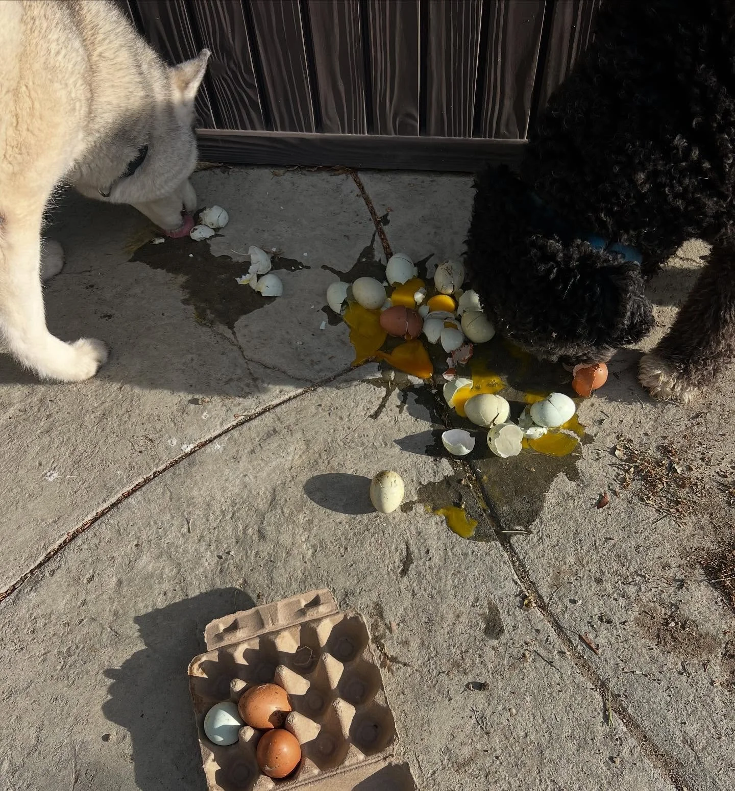 Working hard at finding the joy in the mess. And boy has it been messy lately!! &ldquo;Joy doesn&rsquo;t have to wait until the hard stuff is over. It can exist in simple, ordinary moments alongside the mess. Joy isn&rsquo;t a reward for overcoming p