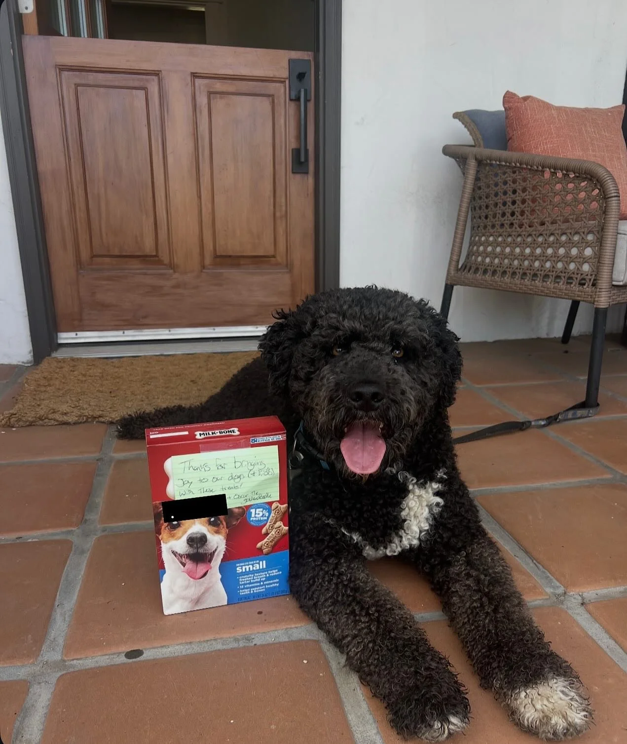 Pure Sunday morning joy! 🤍 This little dog treat stand just keeps giving us so much happiness. Oscar the goldendoodle and his sweet family stopped by with a refill this morning, and it honestly made my whole day. If you are thinking about building o