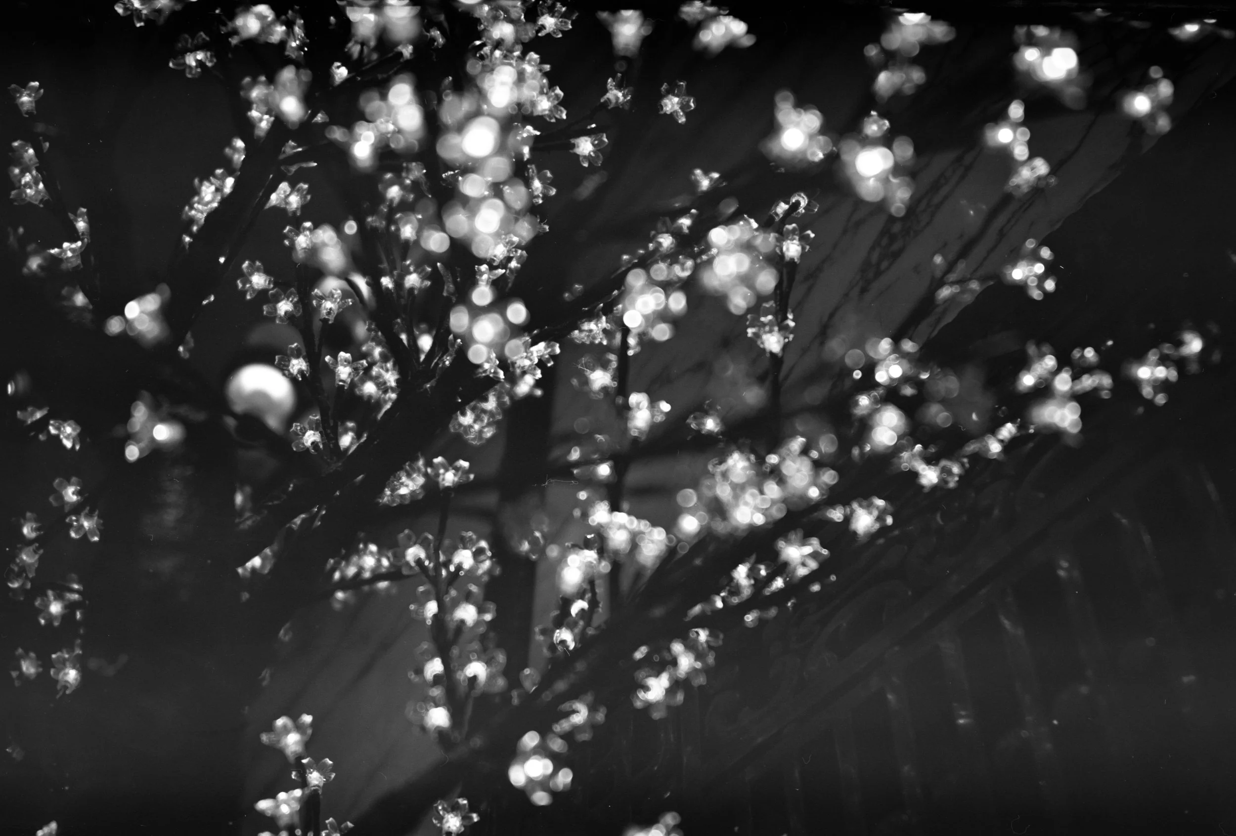 [FILM] Torgallmenningen, Bergen (2023)