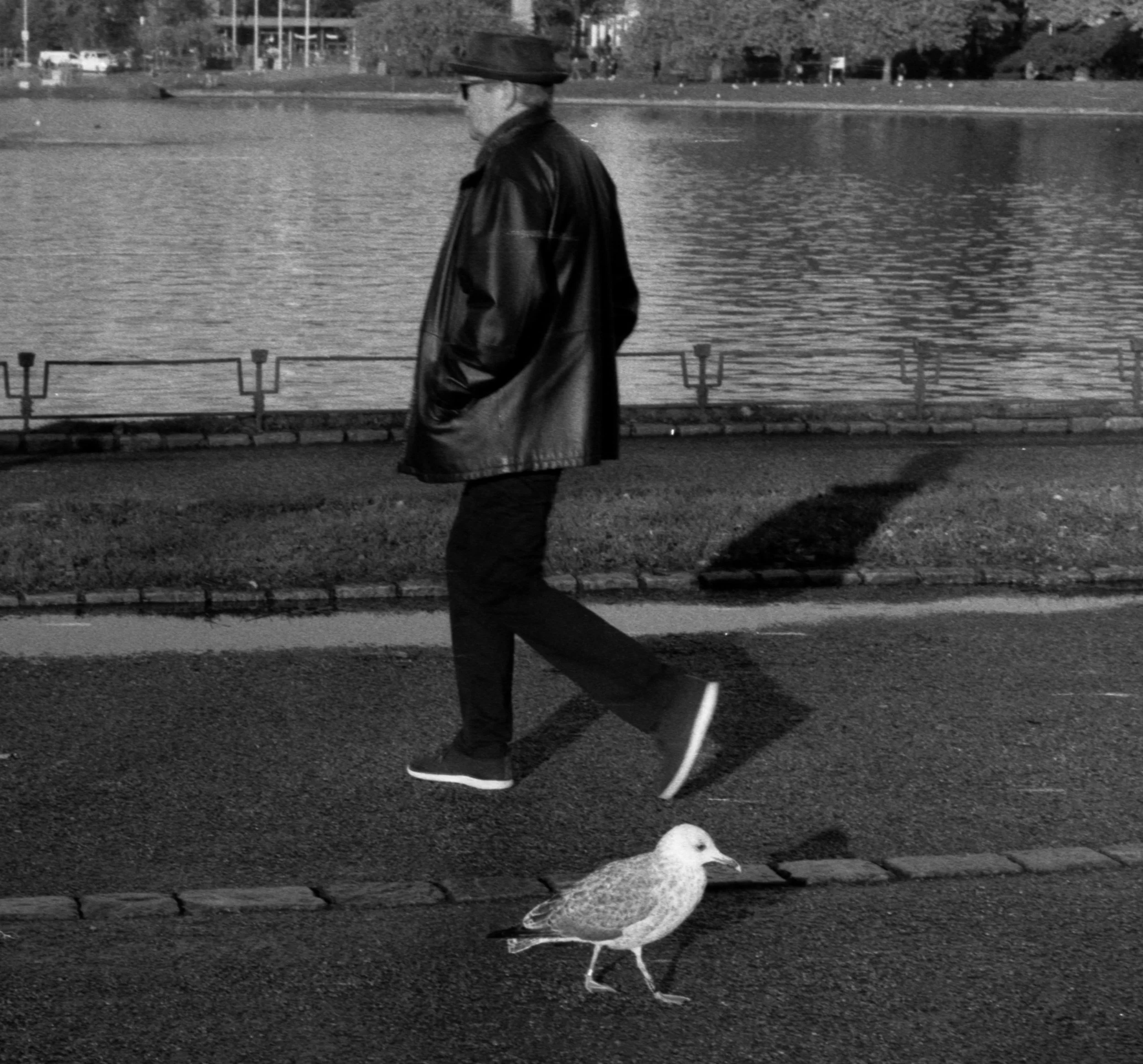 Lille Lungegårdsvann, Bergen (2023)