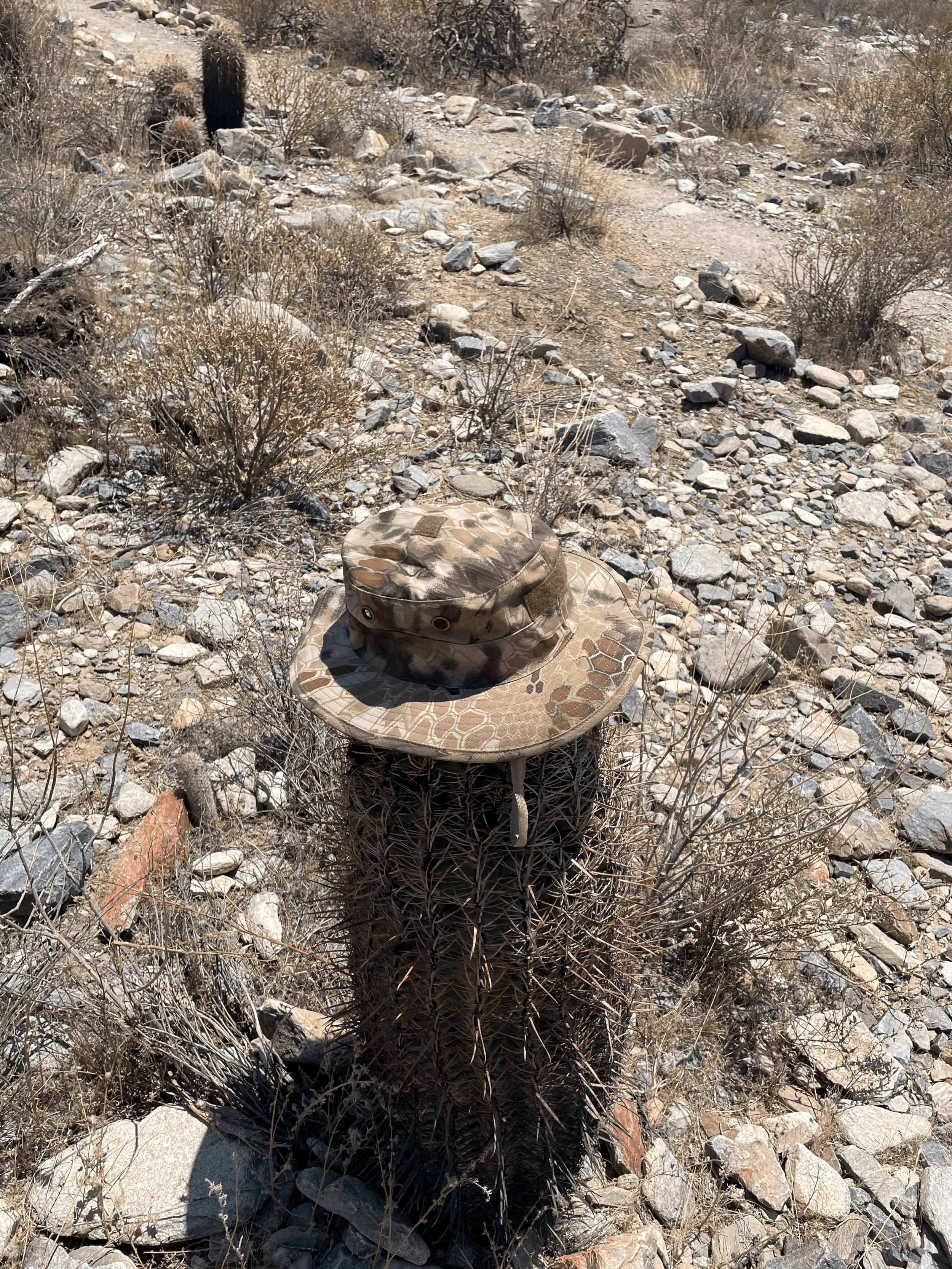 tempImagesQF1zj.gif