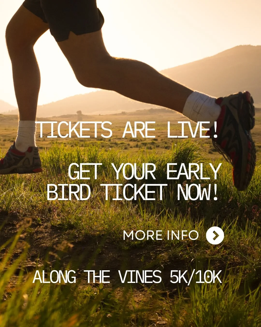 ✨ Tickets are live! ✨

Along the Vines 5K / 10K is coming to Windsor-Essex County wine country on August 16, 2026, with a scenic start and finish at Colchester Ridge Estate Winery (CREW).

This event is more than a race. It&rsquo;s about bringing our