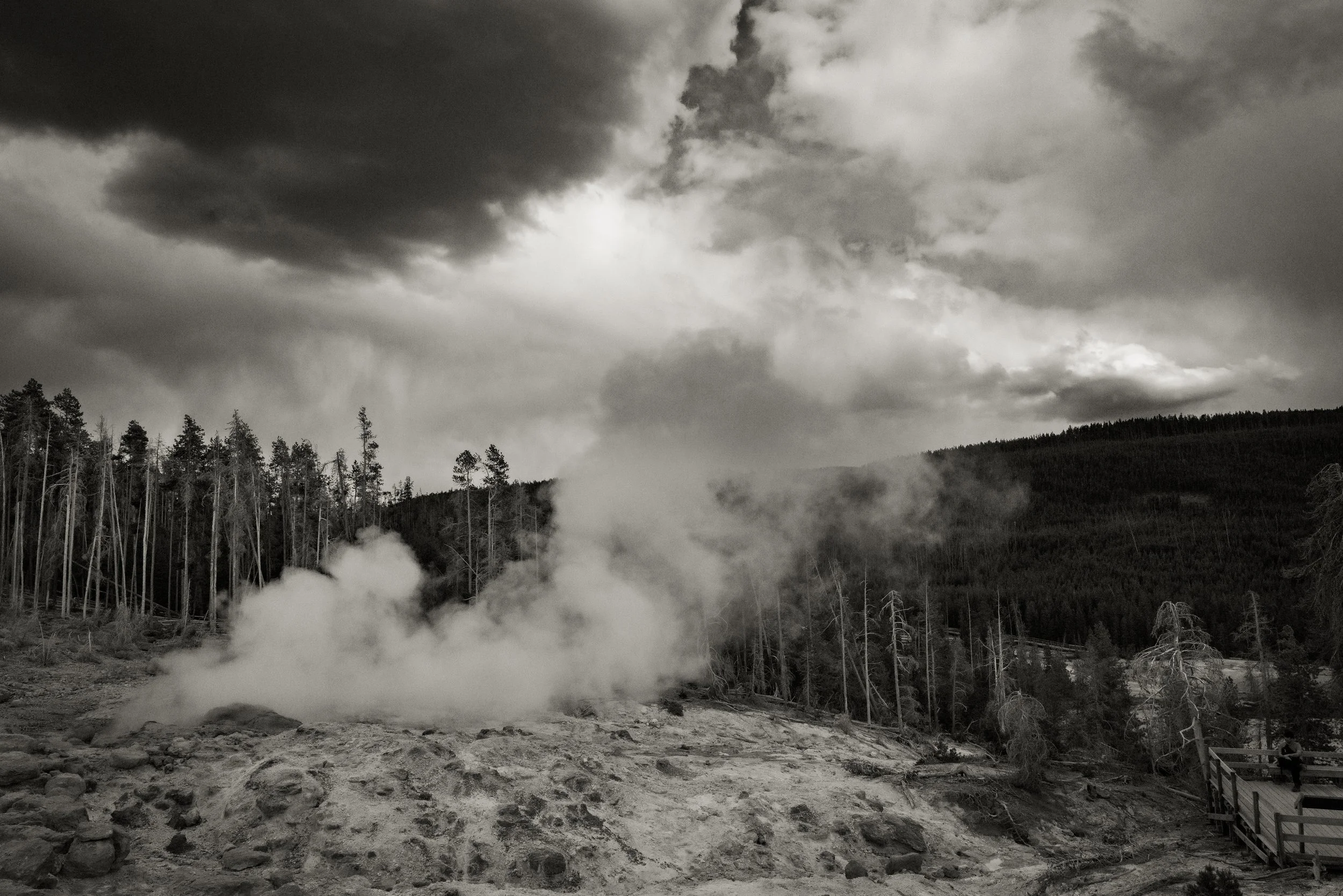 Yellowstone National Park | 2025