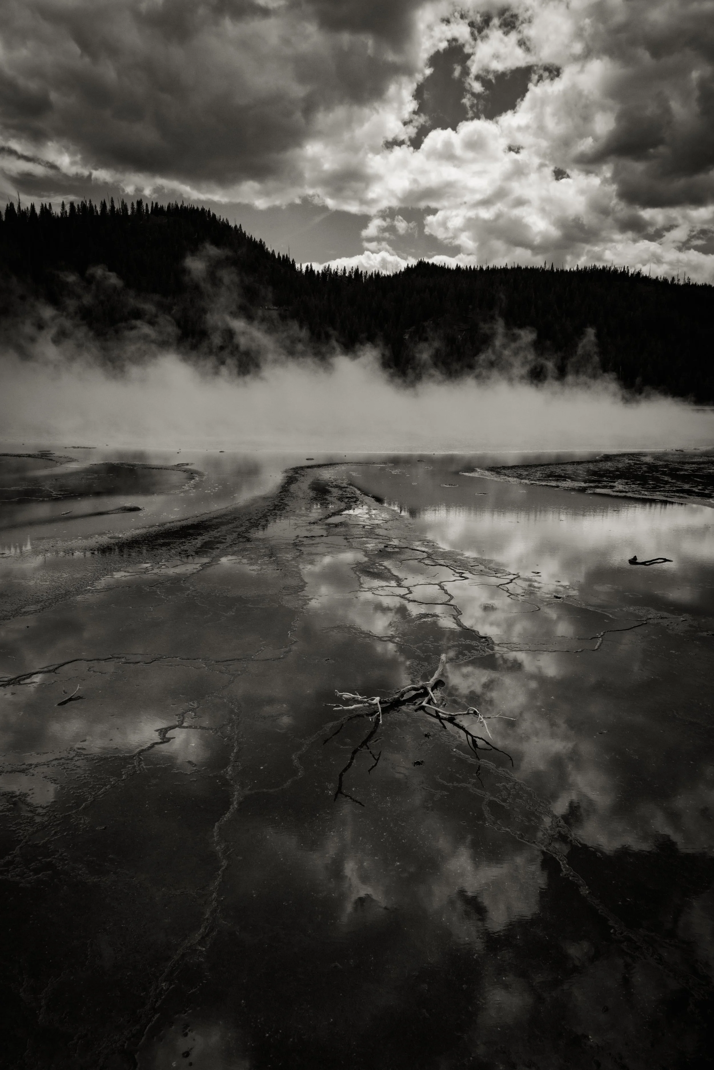 Yellowstone National Park | 2025