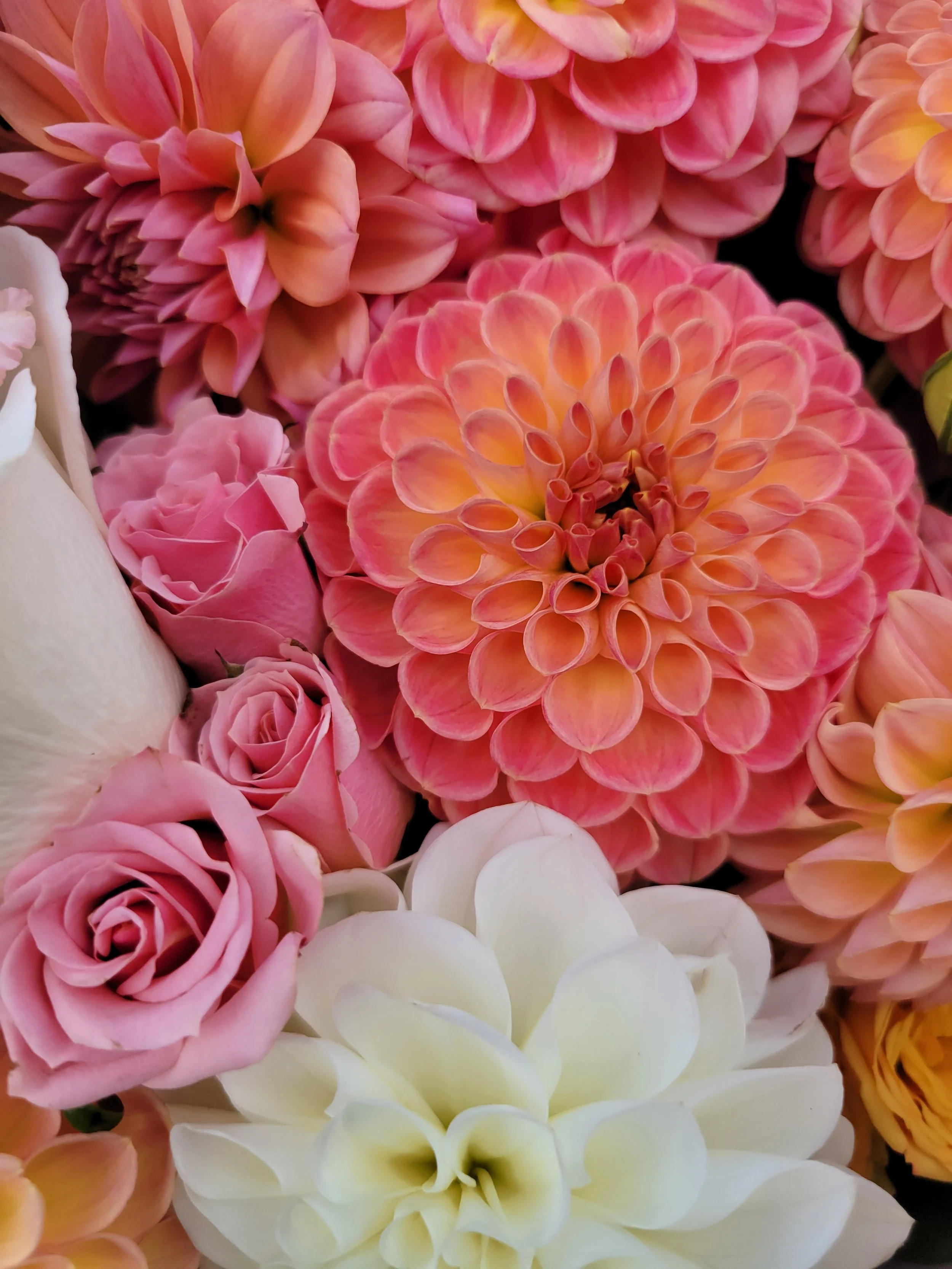 6 Month Flower CSA April-September Delivered