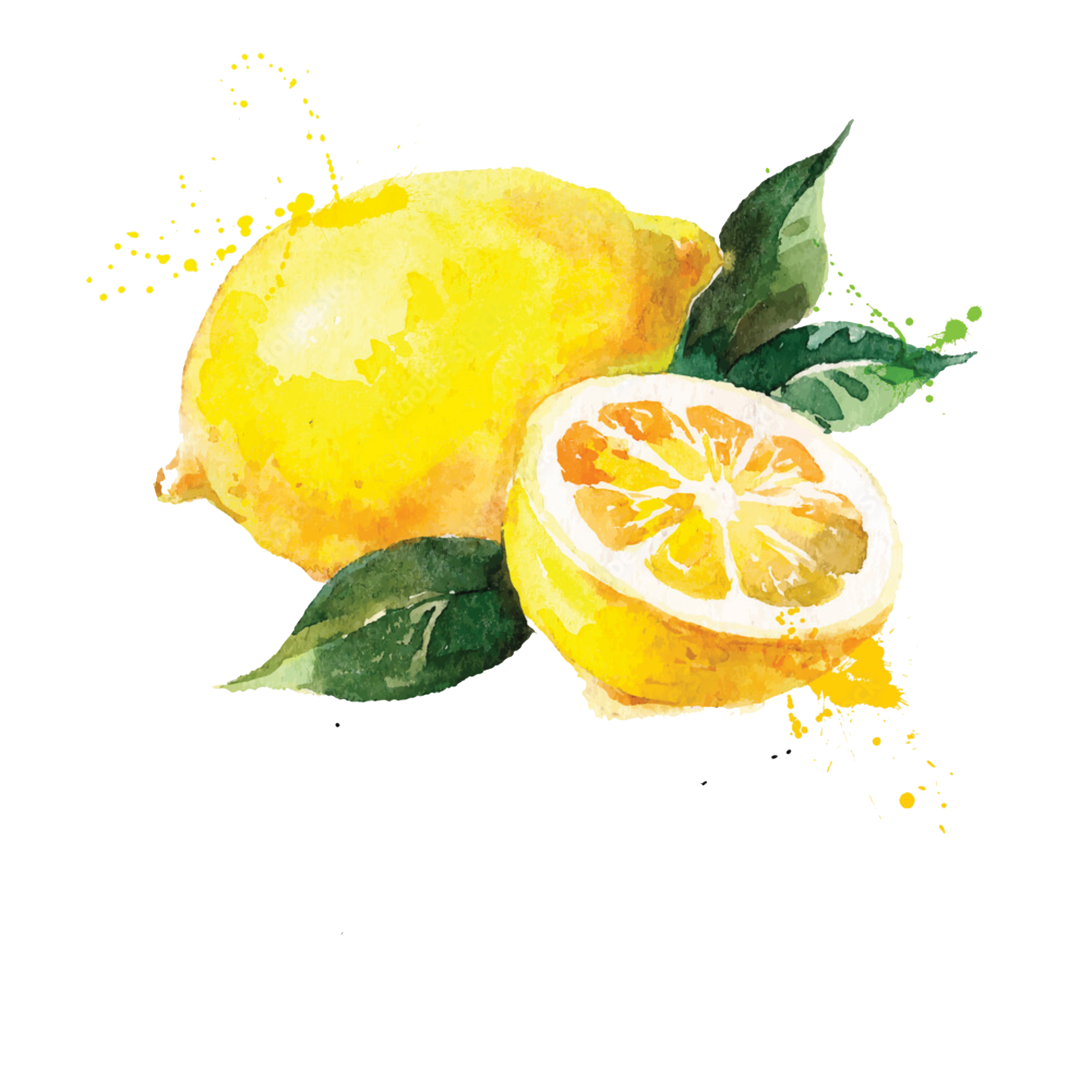 CMlemonWatercolor.png