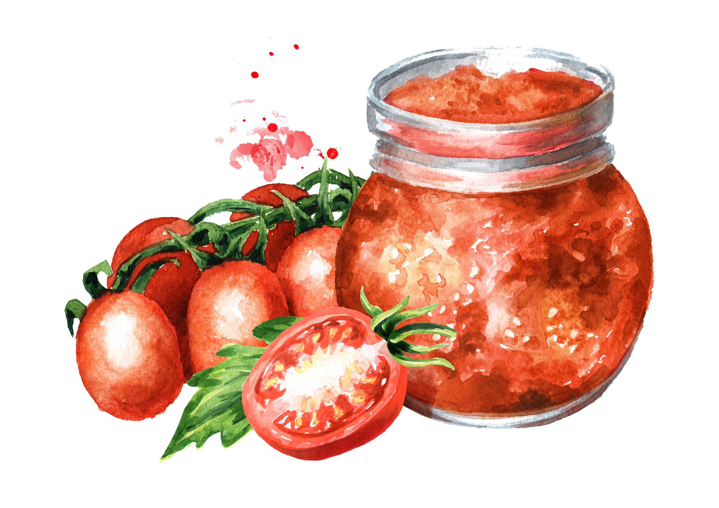 CMwatercolorTomato.png