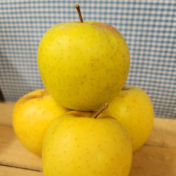 Apple 7.jpg