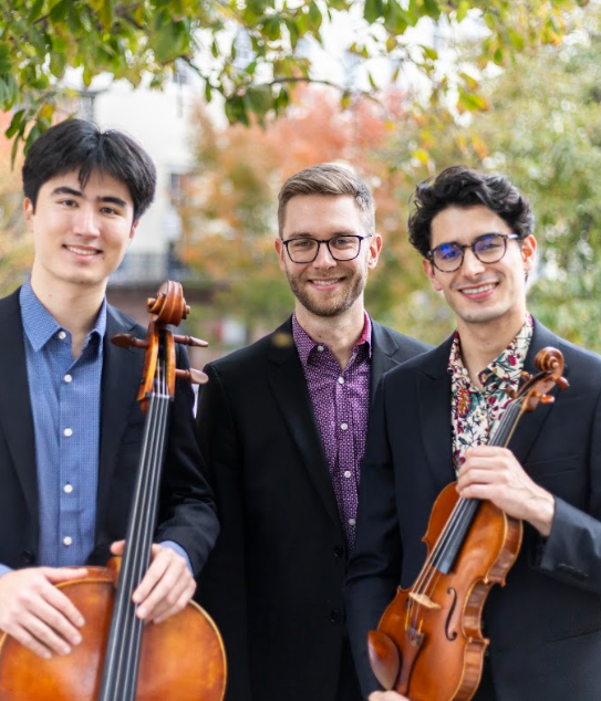 Setas Trio