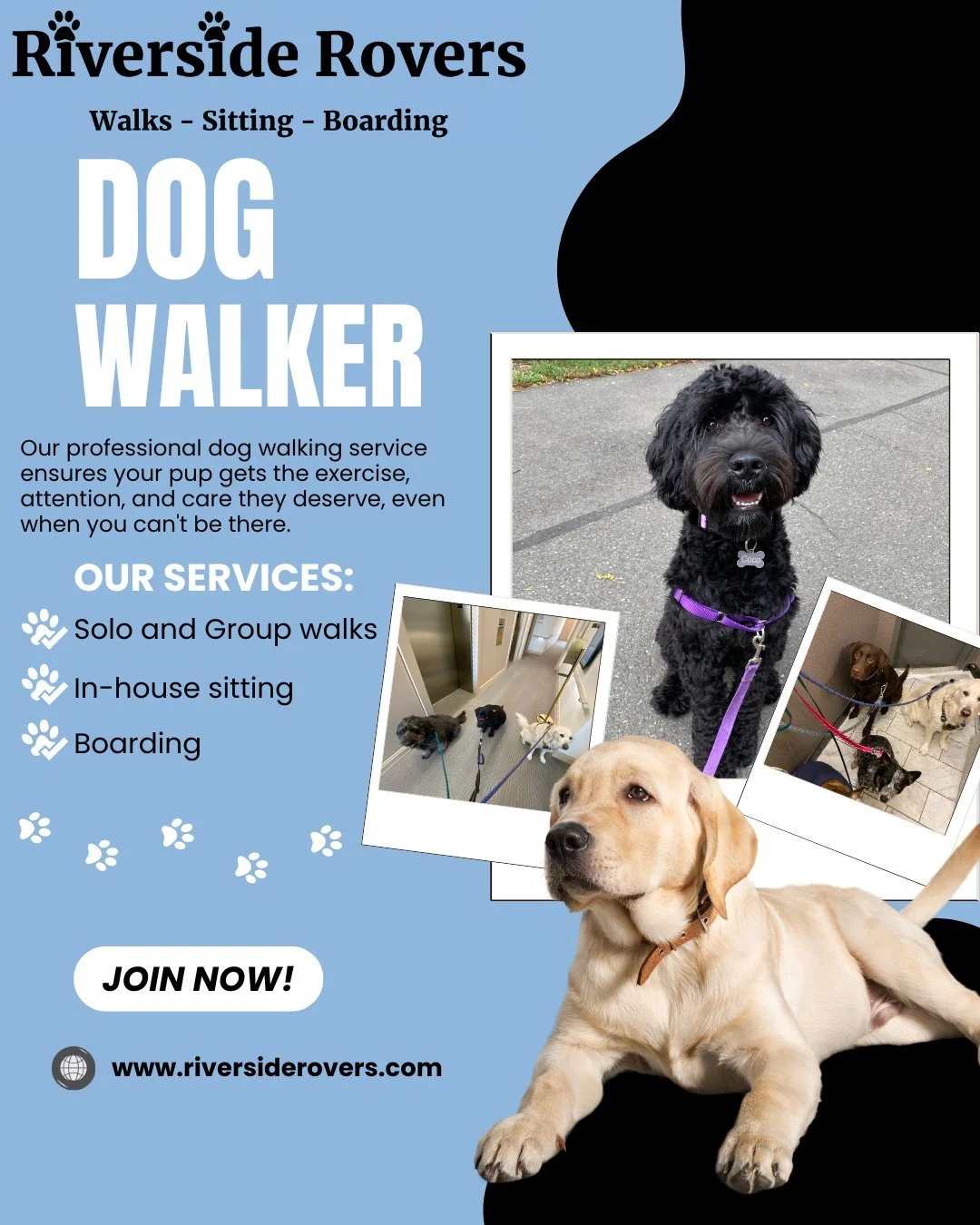 Your dog&rsquo;s favorite part of the day starts with us!

At Riverside Rovers, we provide reliable, loving dog walking, pet sitting, and boarding so your pup stays happy, exercised, and cared for&mdash;even when life gets busy.

✔️ Solo &amp; group 