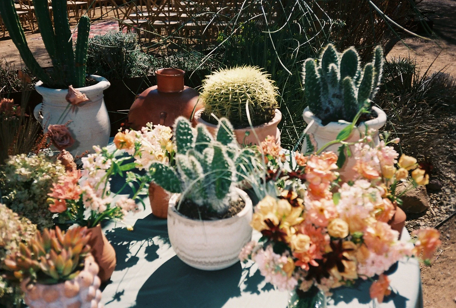 DESERT-CHIC-REBEL-WED-NEW-MEXICO-1.JPEG