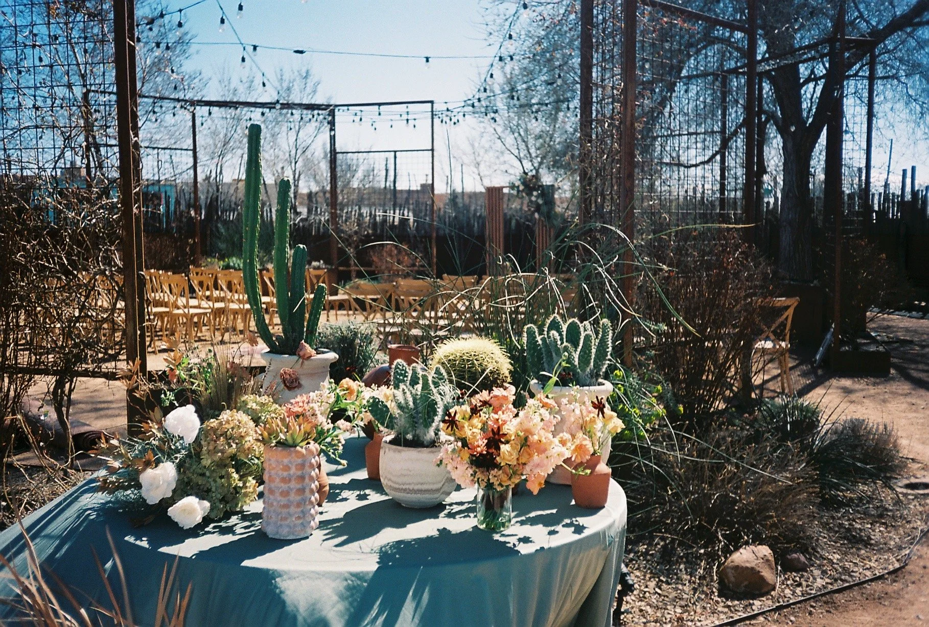 DESERT-CHIC-REBEL-WED-NEW-MEXICO-3.JPEG
