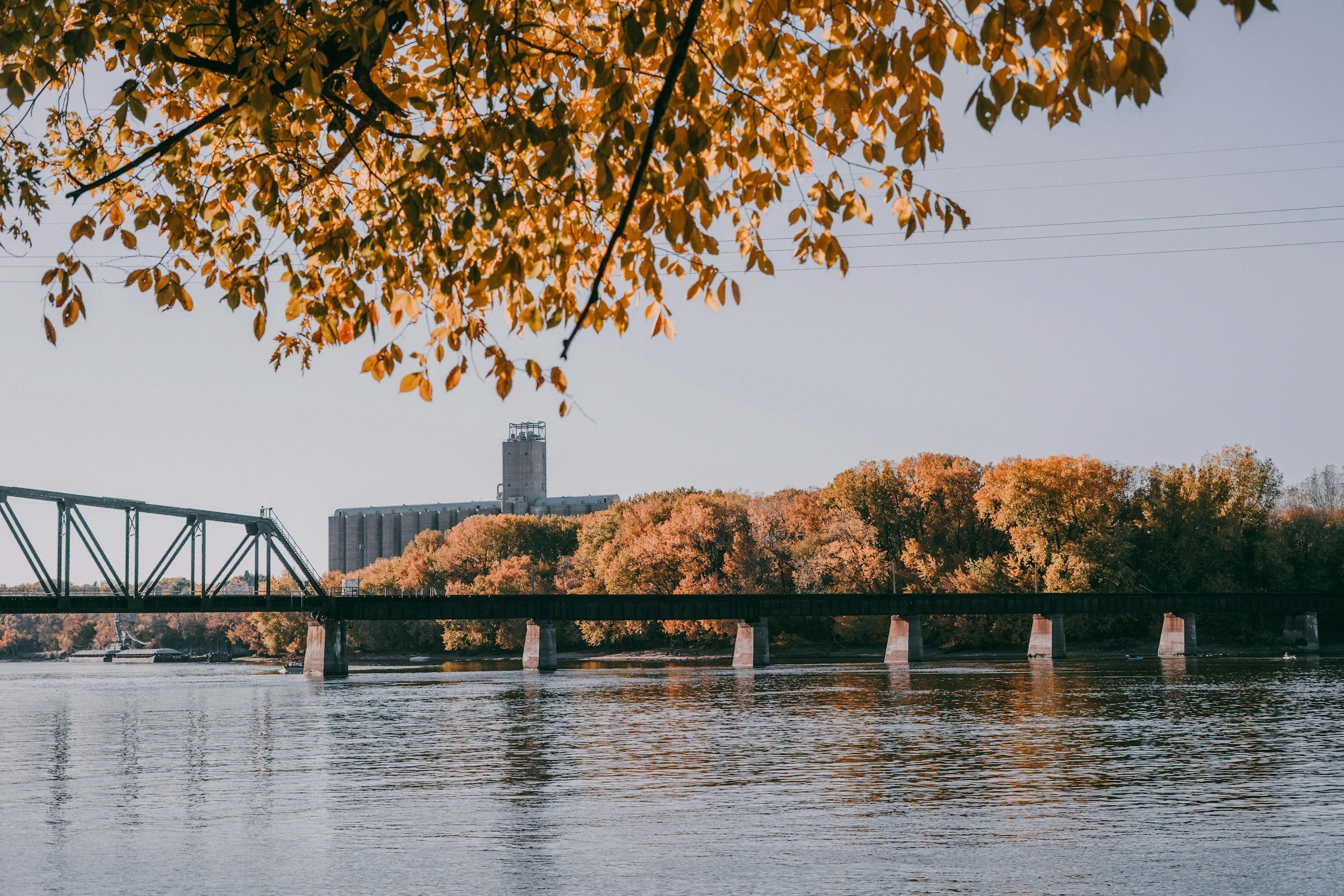 Thinking About Moving to Minnesota? Why So Many People Are Choosing to Put Down Roots Here
