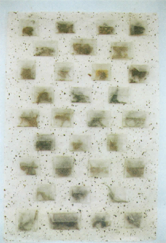 Meadow VII, 1987