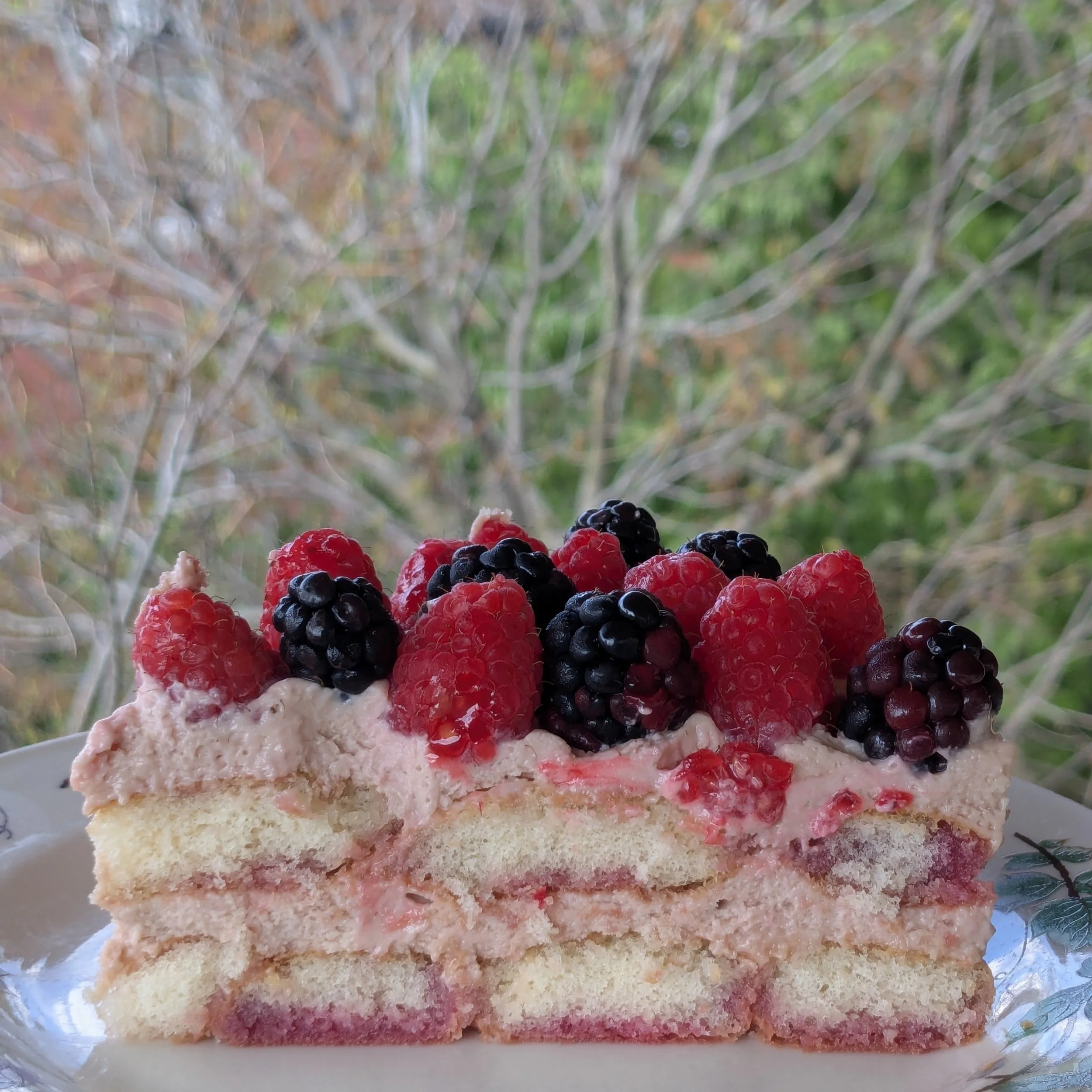 Hibiscus Kombucha Cake