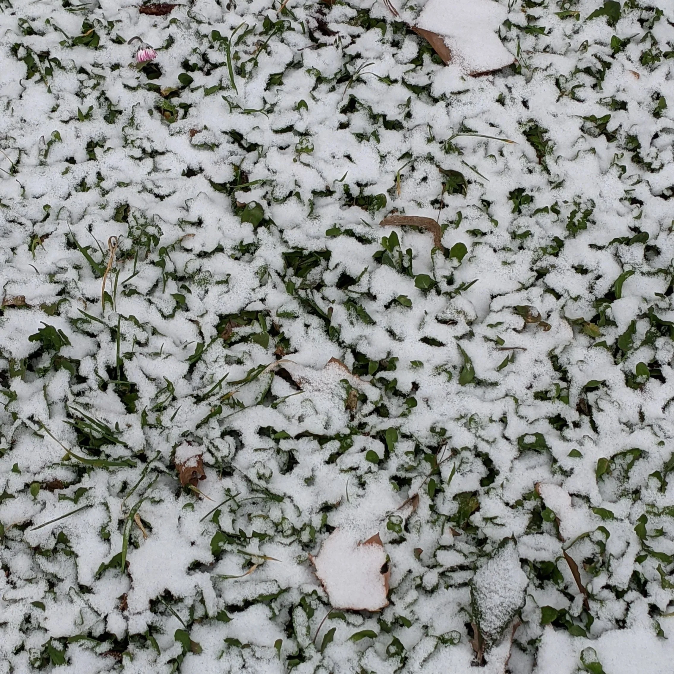 Texture V (2021)