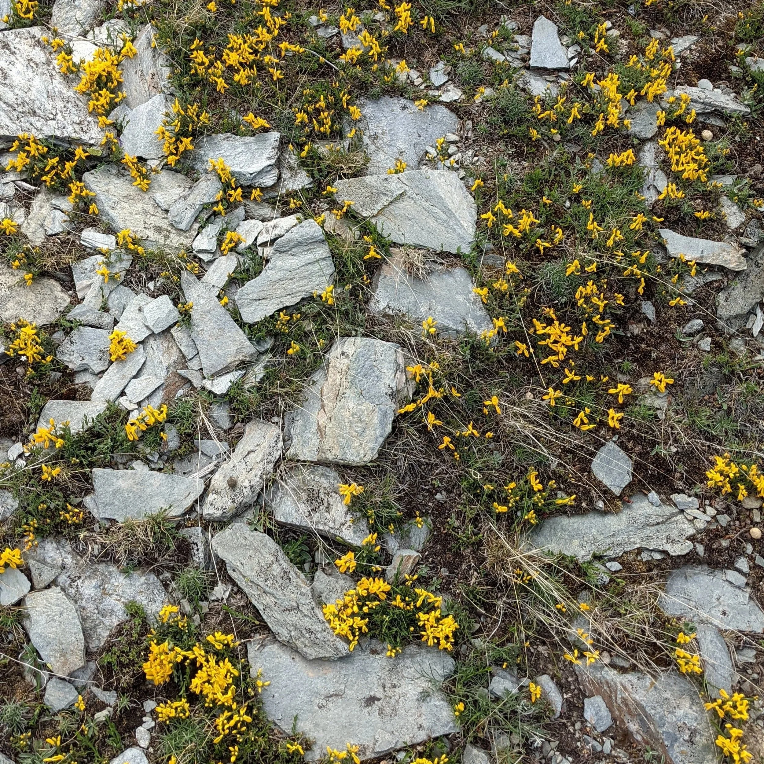 Texture XI (2021)
