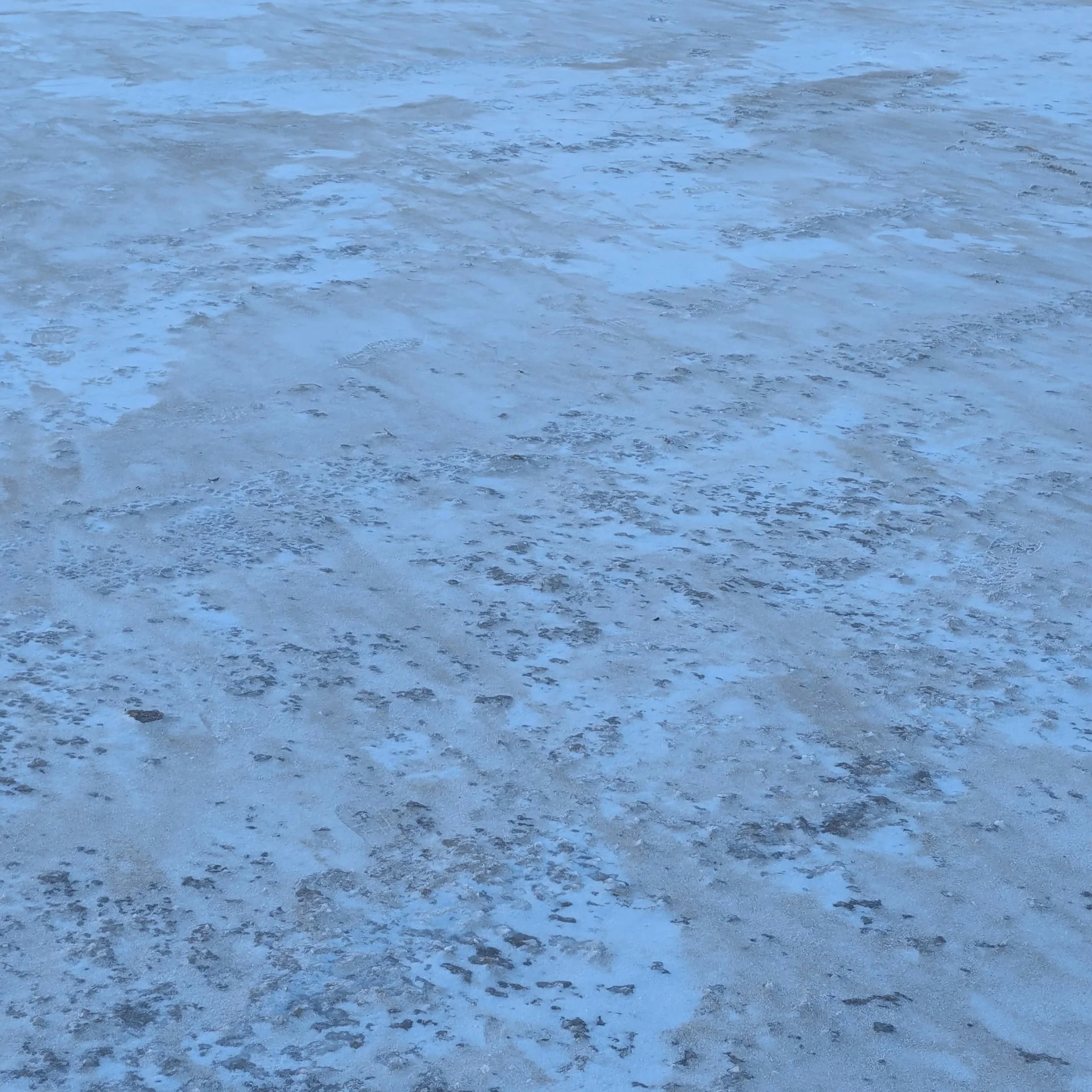 Texture XX (2024)