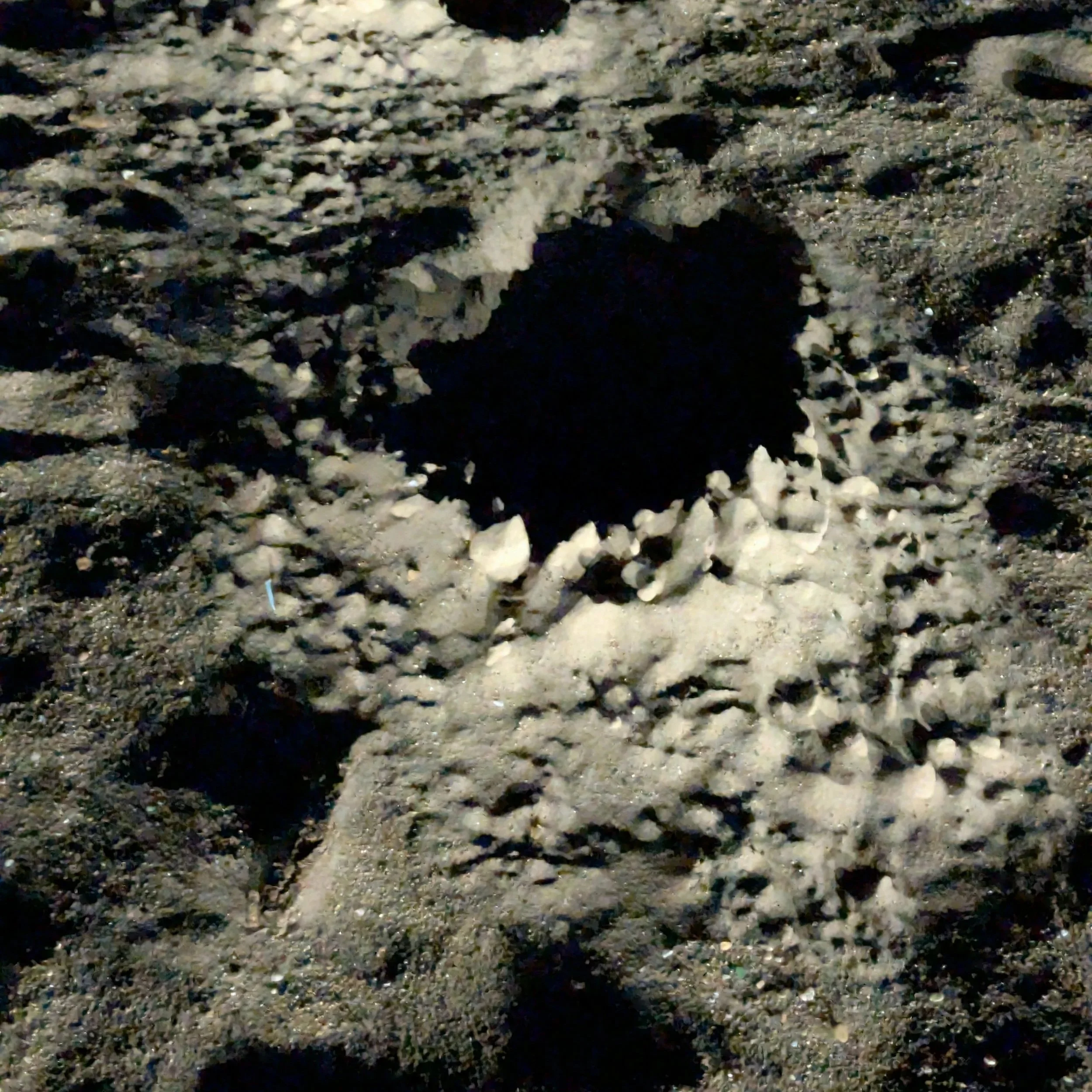 Texture XXVIII (2025)