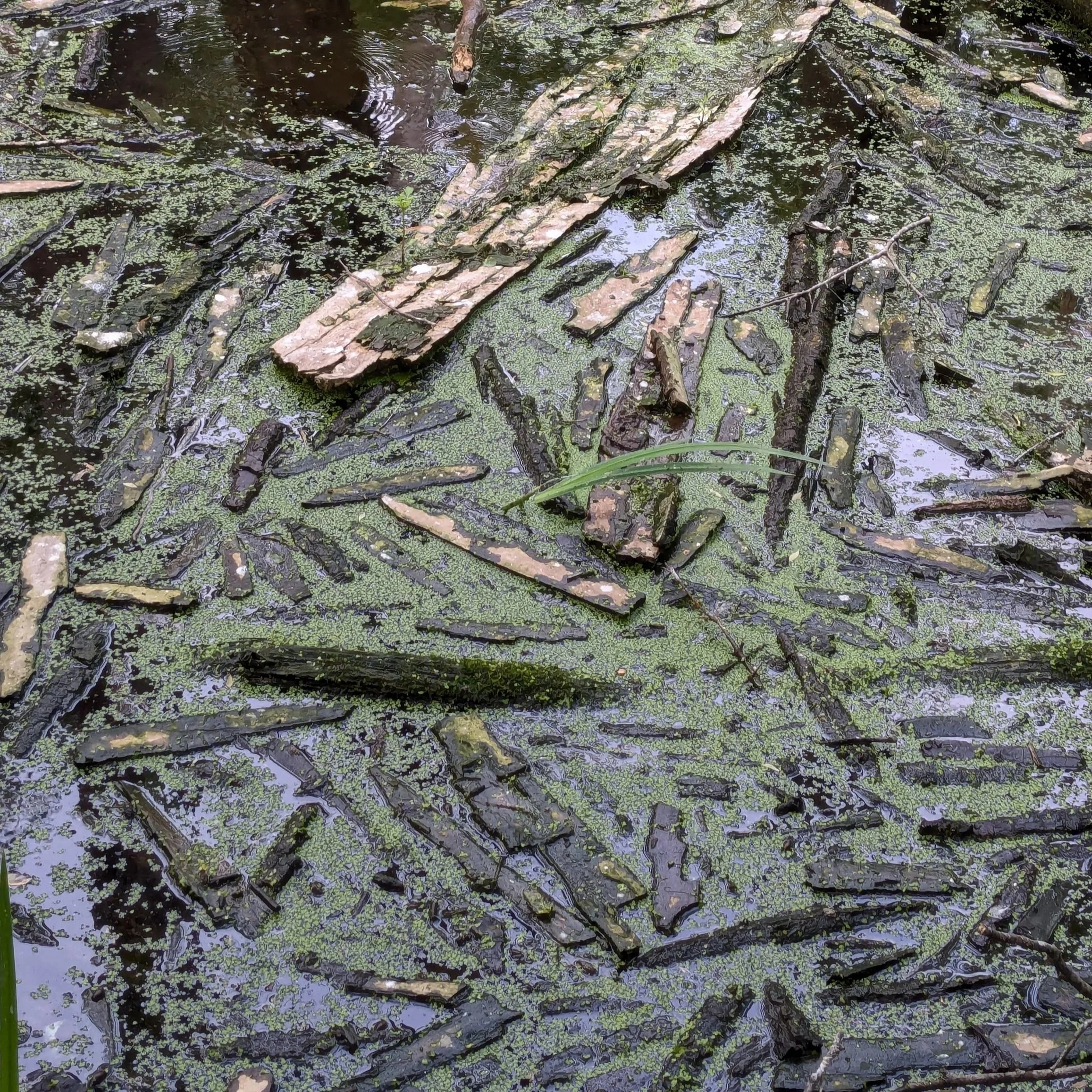 Texture XXX (2025)
