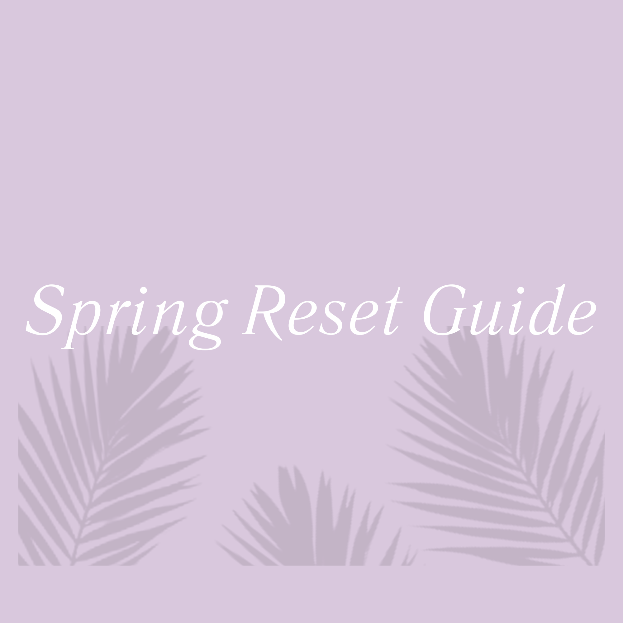 Spring Reset Guide 