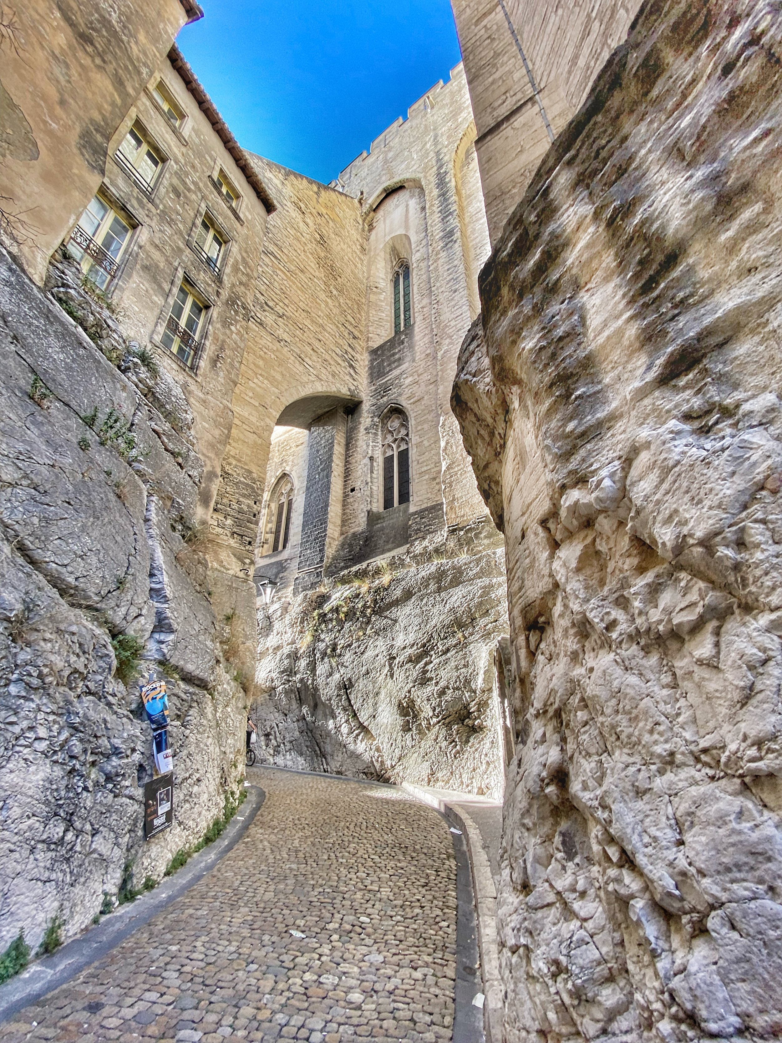 Le Palais des Papes.jpeg