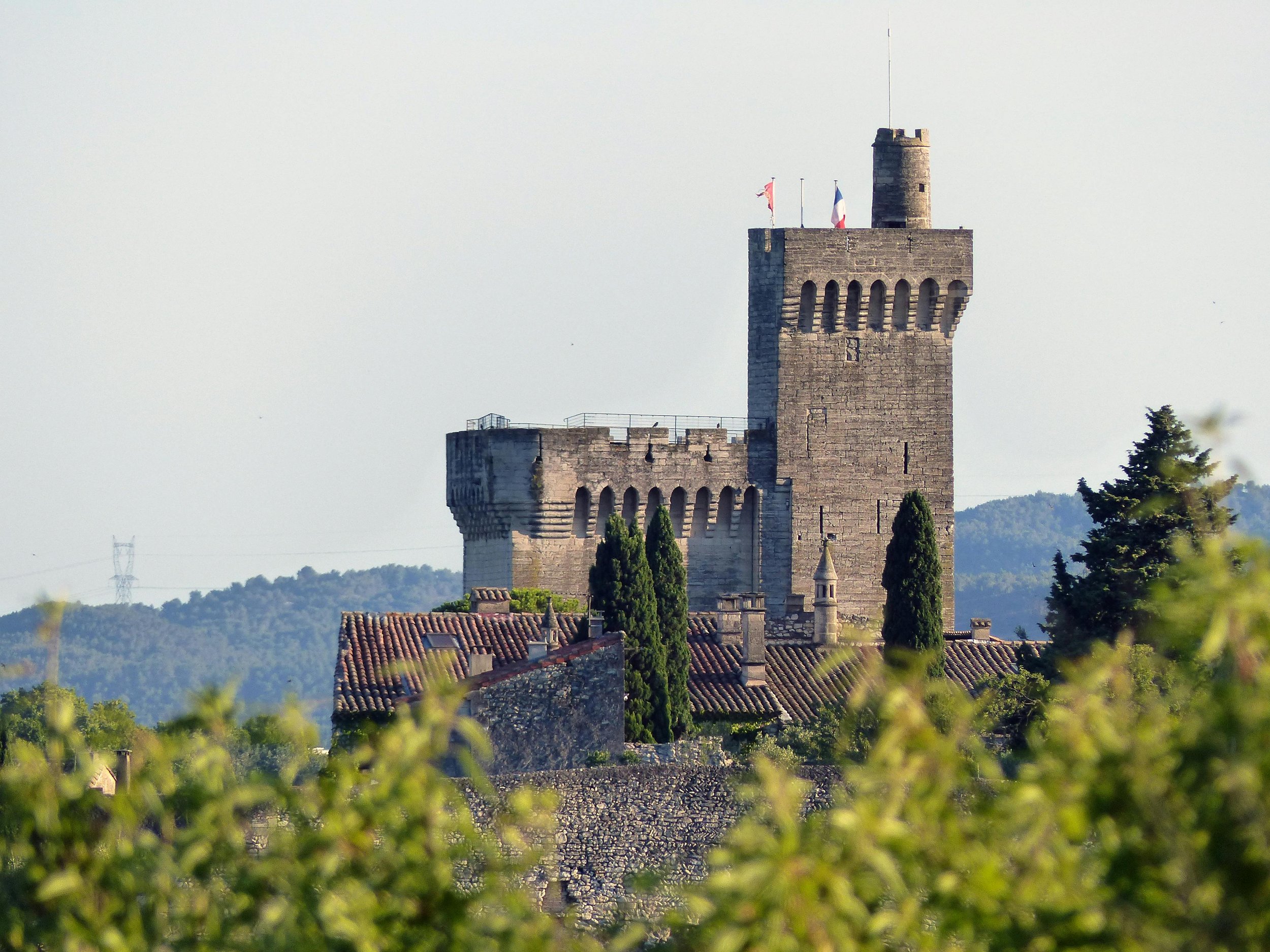 Villeneuve-les-Avignons.jpeg