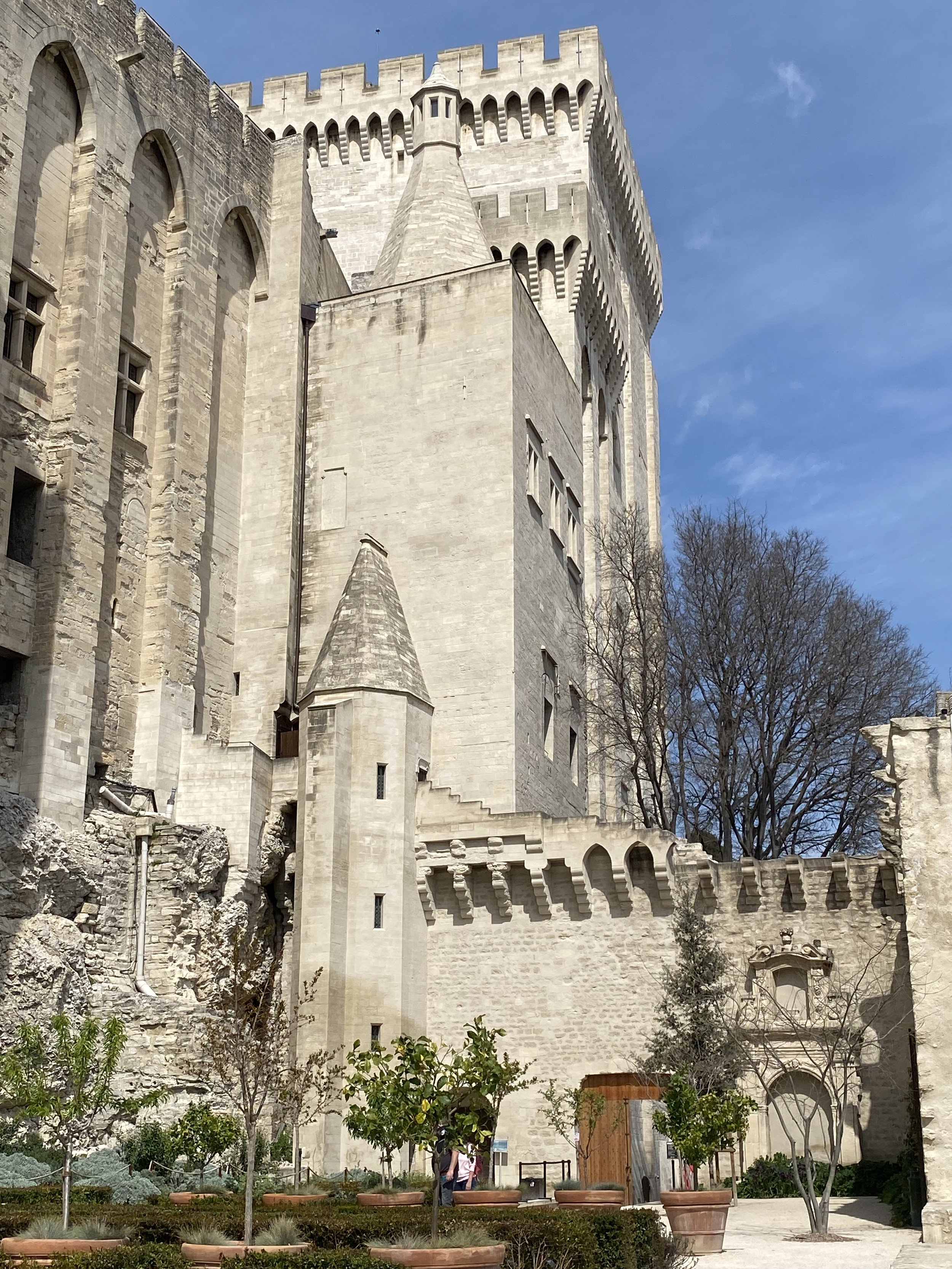 IMG_3005.jpeg