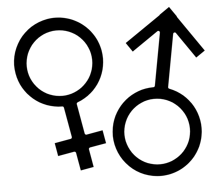 Inside of Rigidly Cogent Binary Illusions