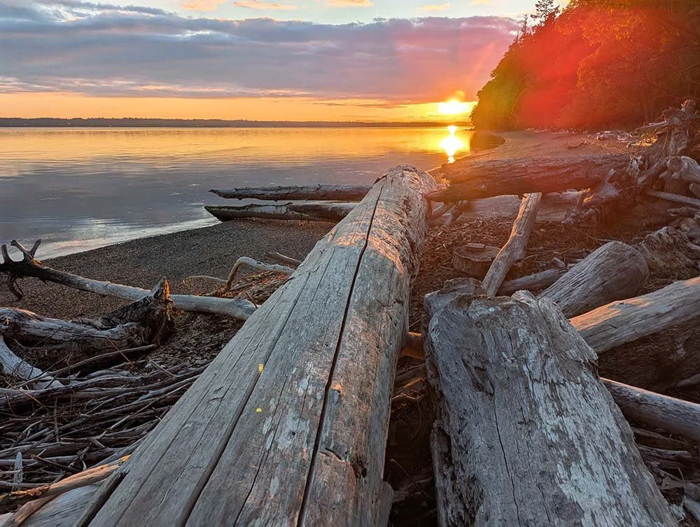 looking west from a beach on Anderson Island in the Puget Sound. Driftwood logs point towards the sun just above the horizon. It is orange and yellow and blue and pink.