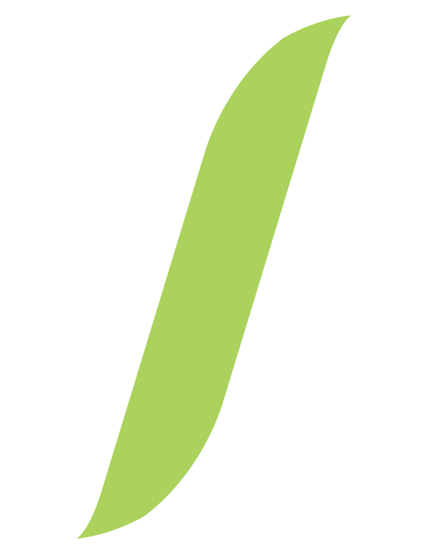 A graphic of a stylized green feather.