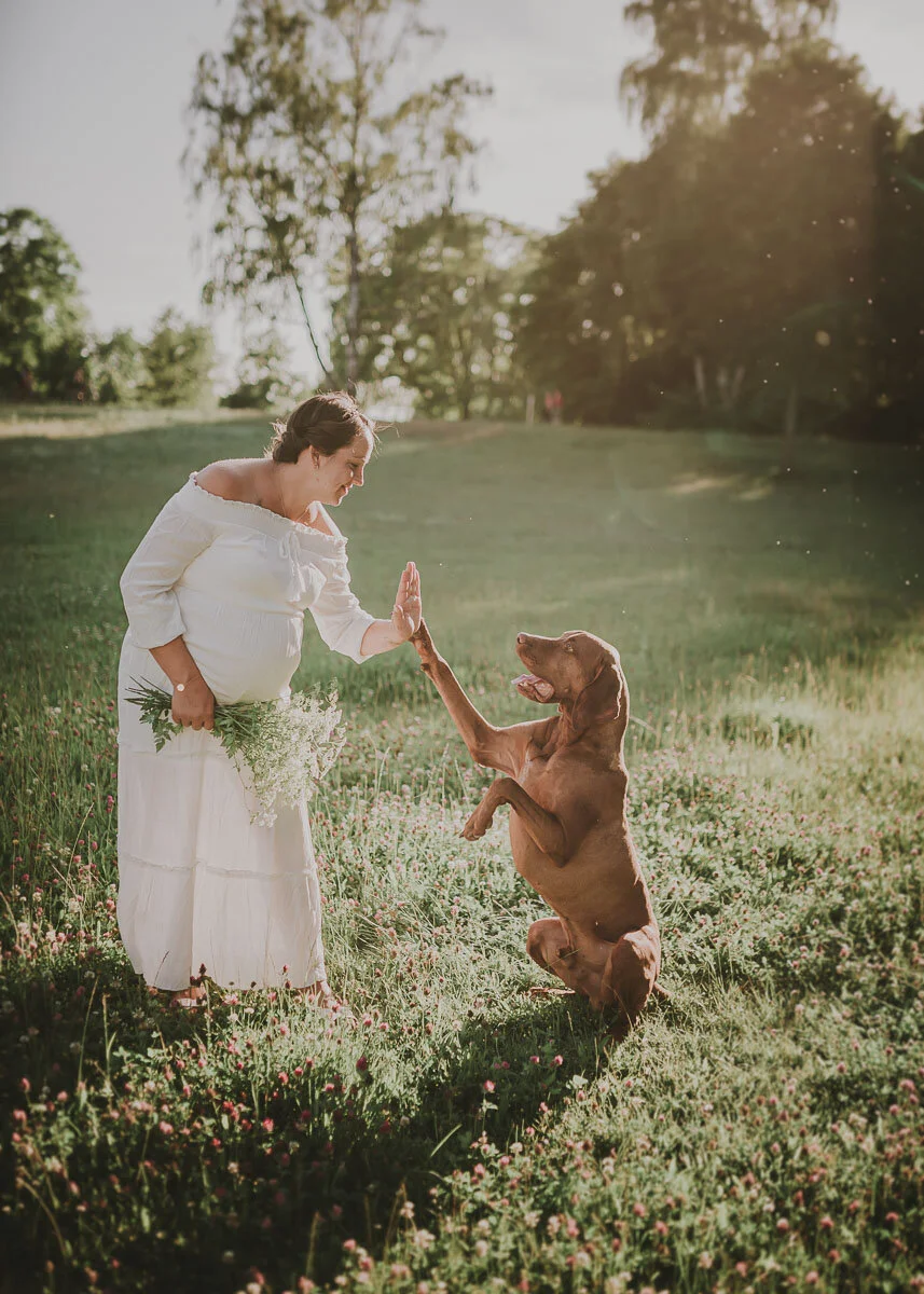 Outdoor-Portrait einer schwangeren Frau bei einem Portraitshooting mit ihrem Hund, bearbeitet mit Hey Poly Lightroom Presets Outdoor