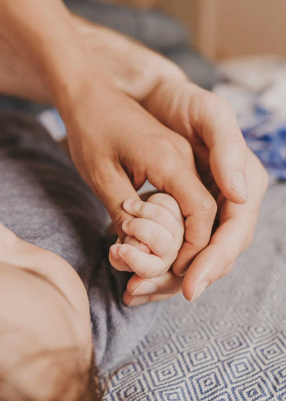 Hände eines Elternteils halten die kleine Hand eines Babys bei einem Newborn und Baby Shooting