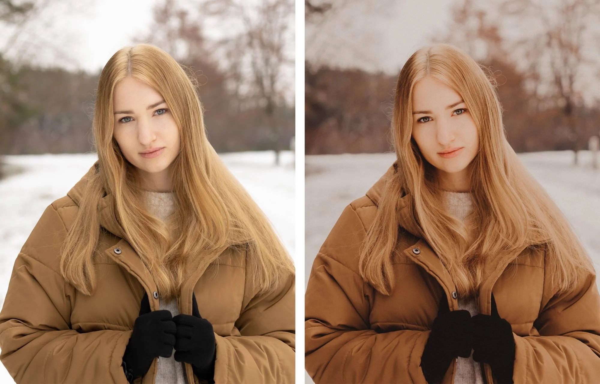 heypoly-winter-preset.jpg