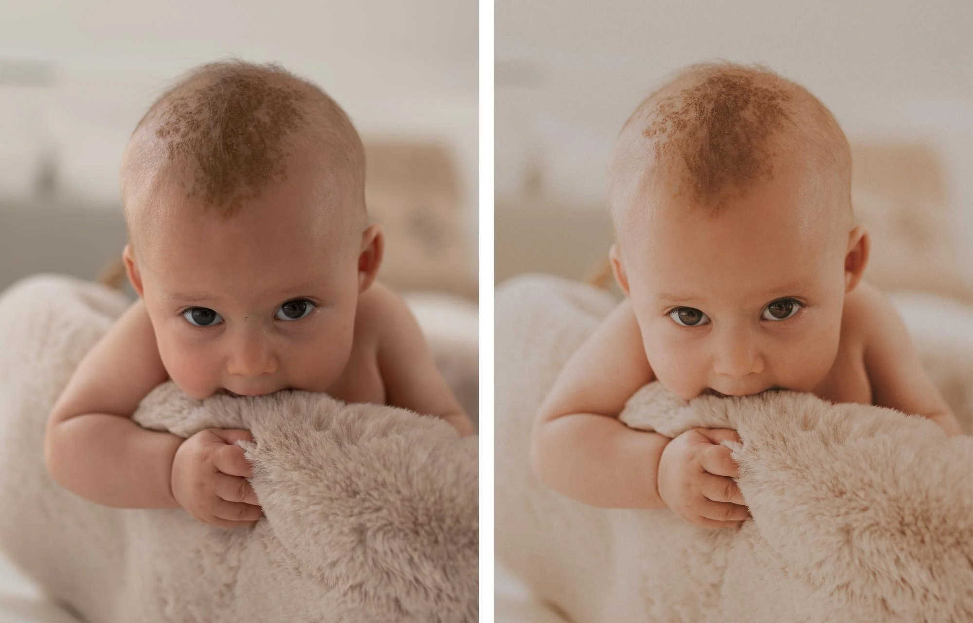 heypoly-baby-preset.jpg